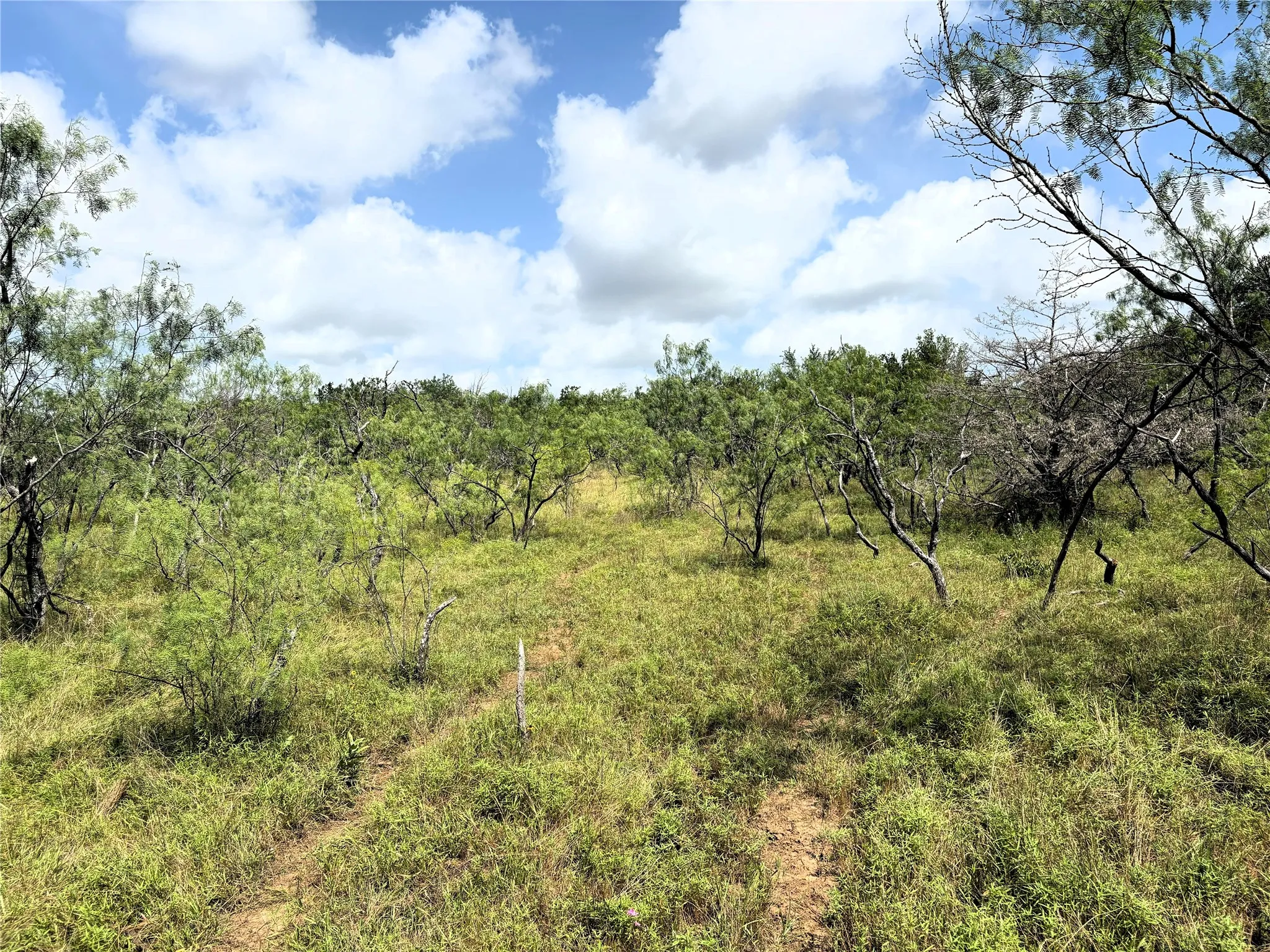 Unimproved Land For Sale in Limestone County , 000 LCR 663, Kosse, Texas 76653, 0, 0, Garage spaces, 0 Sqft, built in 0, mls#21355372, Real Estate Agent in Kosse, Homes For Sale in Limestone county, Homes For Sale in Kosse, Realtor in Kosse Texas, Real Estate Brokerage Independent Realty Texas, Luminita Cordes Realtor