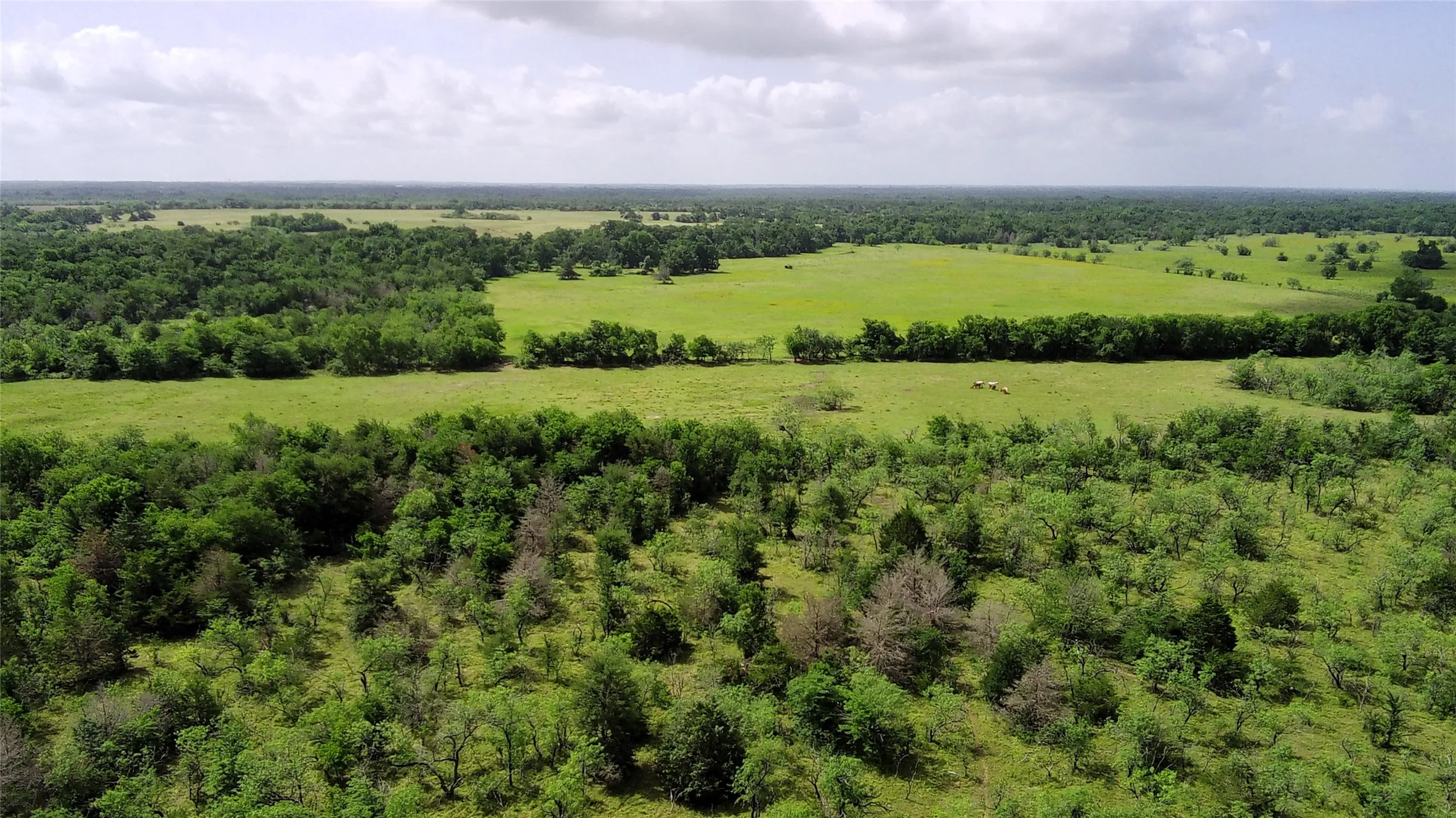 Unimproved Land For Sale in Limestone County , 000 LCR 663, Kosse, Texas 76653, 0, 0, Garage spaces, 0 Sqft, built in 0, mls#21355372, Real Estate Agent in Kosse, Homes For Sale in Limestone county, Homes For Sale in Kosse, Realtor in Kosse Texas, Real Estate Brokerage Independent Realty Texas, Luminita Cordes Realtor