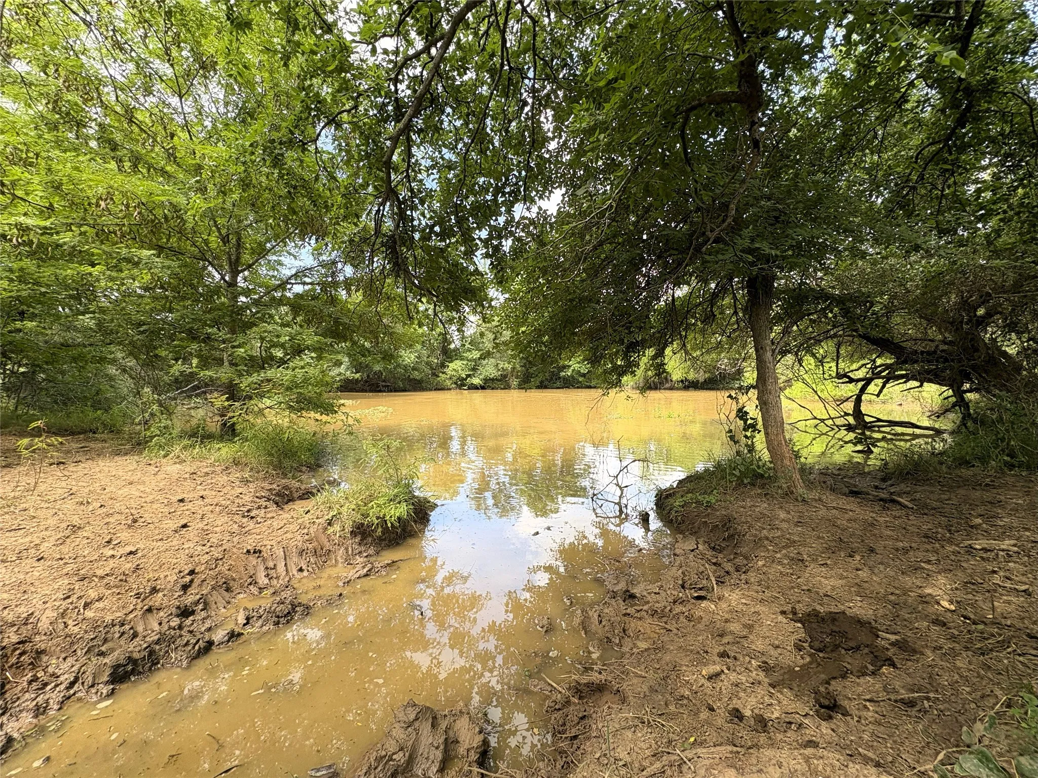 Unimproved Land For Sale in Limestone County , 000 LCR 663, Kosse, Texas 76653, 0, 0, Garage spaces, 0 Sqft, built in 0, mls#21355372, Real Estate Agent in Kosse, Homes For Sale in Limestone county, Homes For Sale in Kosse, Realtor in Kosse Texas, Real Estate Brokerage Independent Realty Texas, Luminita Cordes Realtor