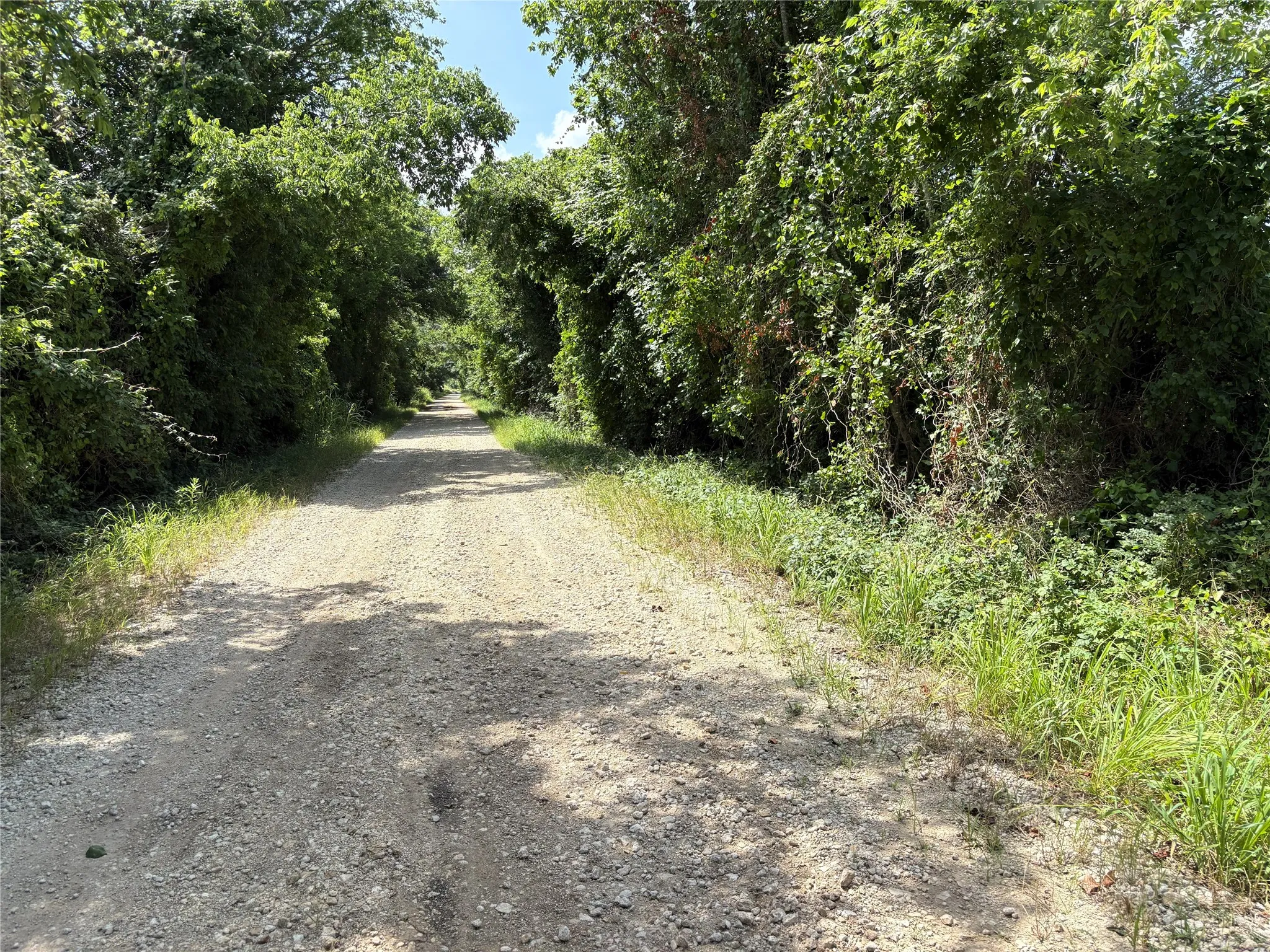 Unimproved Land For Sale in Limestone County , 000 LCR 663, Kosse, Texas 76653, 0, 0, Garage spaces, 0 Sqft, built in 0, mls#21355372, Real Estate Agent in Kosse, Homes For Sale in Limestone county, Homes For Sale in Kosse, Realtor in Kosse Texas, Real Estate Brokerage Independent Realty Texas, Luminita Cordes Realtor