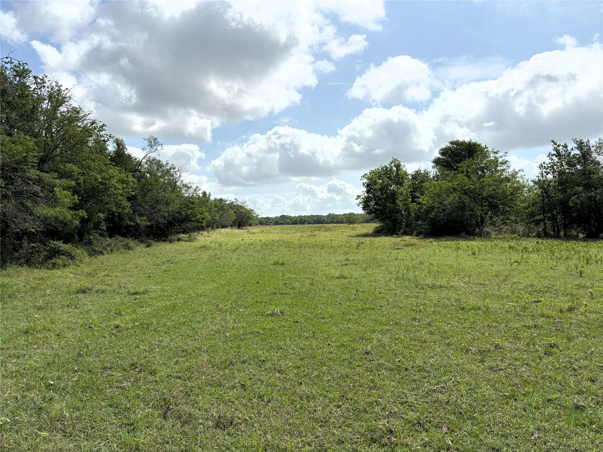 Unimproved Land For Sale in Limestone County , 000 LCR 663, Kosse, Texas 76653, 0, 0, Garage spaces, 0 Sqft, built in 0, mls#21355372, Real Estate Agent in Kosse, Homes For Sale in Limestone county, Homes For Sale in Kosse, Realtor in Kosse Texas, Real Estate Brokerage Independent Realty Texas, Luminita Cordes Realtor