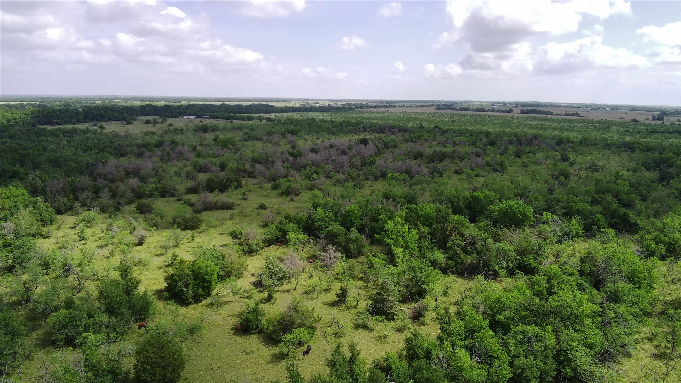 Unimproved Land For Sale in Limestone County , 000 LCR 663, Kosse, Texas 76653, 0, 0, Garage spaces, 0 Sqft, built in 0, mls#21355372, Real Estate Agent in Kosse, Homes For Sale in Limestone county, Homes For Sale in Kosse, Realtor in Kosse Texas, Real Estate Brokerage Independent Realty Texas, Luminita Cordes Realtor
