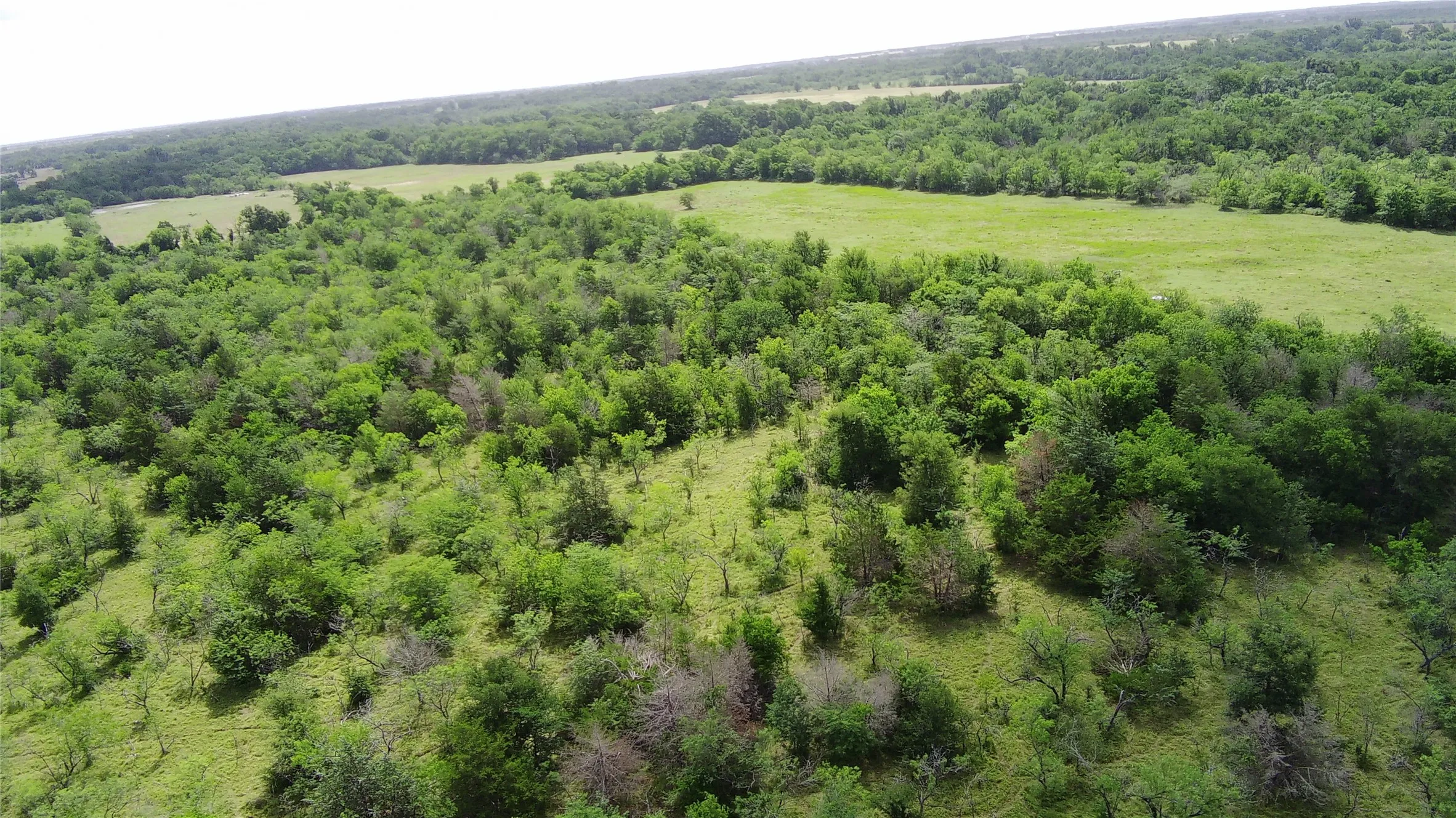 Unimproved Land For Sale in Limestone County , 000 LCR 663, Kosse, Texas 76653, 0, 0, Garage spaces, 0 Sqft, built in 0, mls#21355372, Real Estate Agent in Kosse, Homes For Sale in Limestone county, Homes For Sale in Kosse, Realtor in Kosse Texas, Real Estate Brokerage Independent Realty Texas, Luminita Cordes Realtor