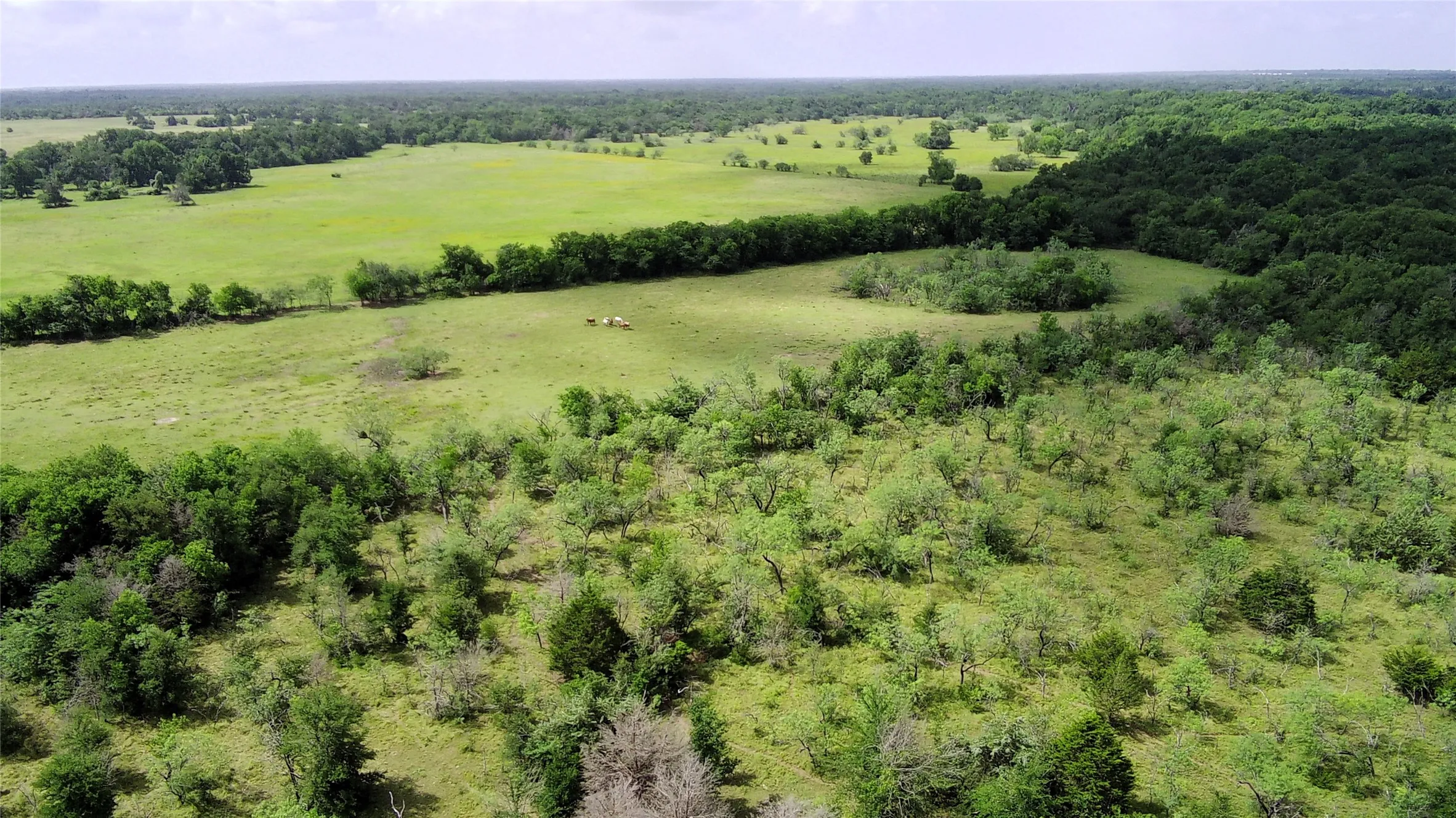 Unimproved Land For Sale in Limestone County , 000 LCR 663, Kosse, Texas 76653, 0, 0, Garage spaces, 0 Sqft, built in 0, mls#21355372, Real Estate Agent in Kosse, Homes For Sale in Limestone county, Homes For Sale in Kosse, Realtor in Kosse Texas, Real Estate Brokerage Independent Realty Texas, Luminita Cordes Realtor