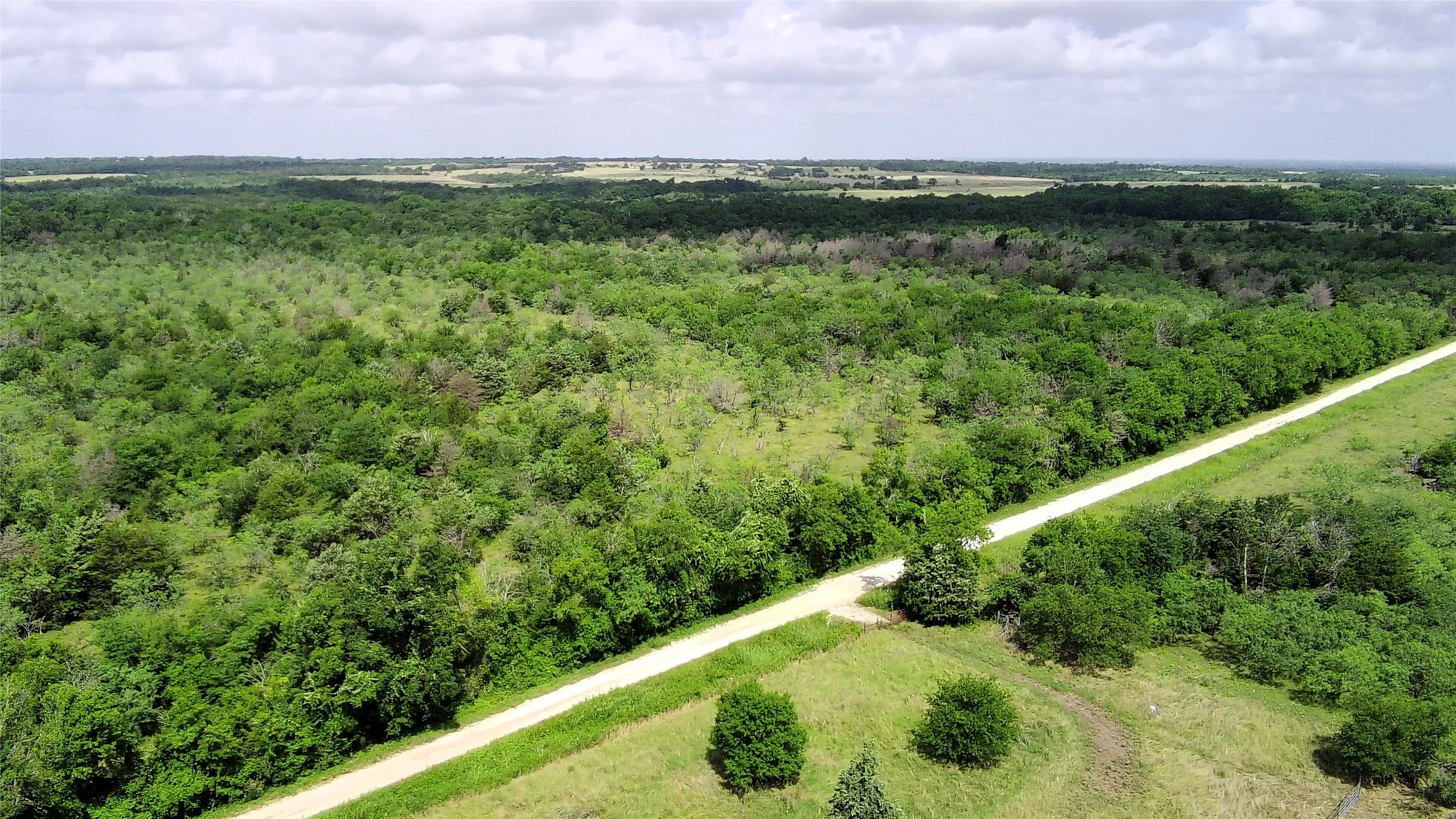 Unimproved Land For Sale in Limestone County , 000 LCR 663, Kosse, Texas 76653, 0, 0, Garage spaces, 0 Sqft, built in 0, mls#21355372, Real Estate Agent in Kosse, Homes For Sale in Limestone county, Homes For Sale in Kosse, Realtor in Kosse Texas, Real Estate Brokerage Independent Realty Texas, Luminita Cordes Realtor