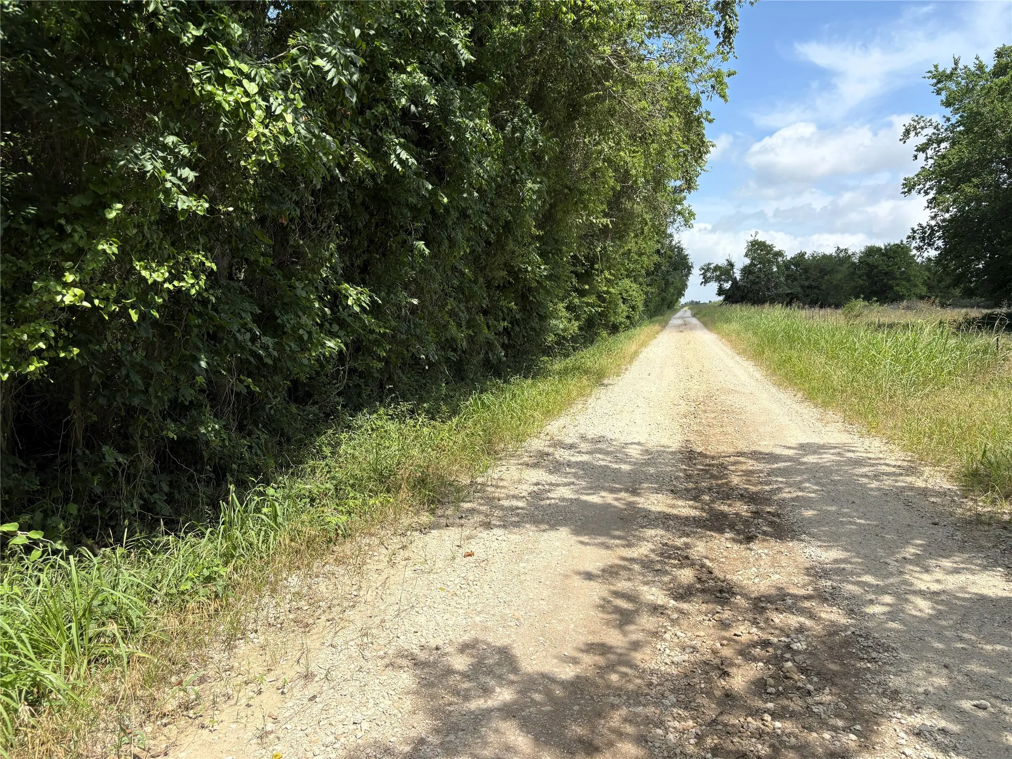 Unimproved Land For Sale in Limestone County , 000 LCR 663, Kosse, Texas 76653, 0, 0, Garage spaces, 0 Sqft, built in 0, mls#21355372, Real Estate Agent in Kosse, Homes For Sale in Limestone county, Homes For Sale in Kosse, Realtor in Kosse Texas, Real Estate Brokerage Independent Realty Texas, Luminita Cordes Realtor