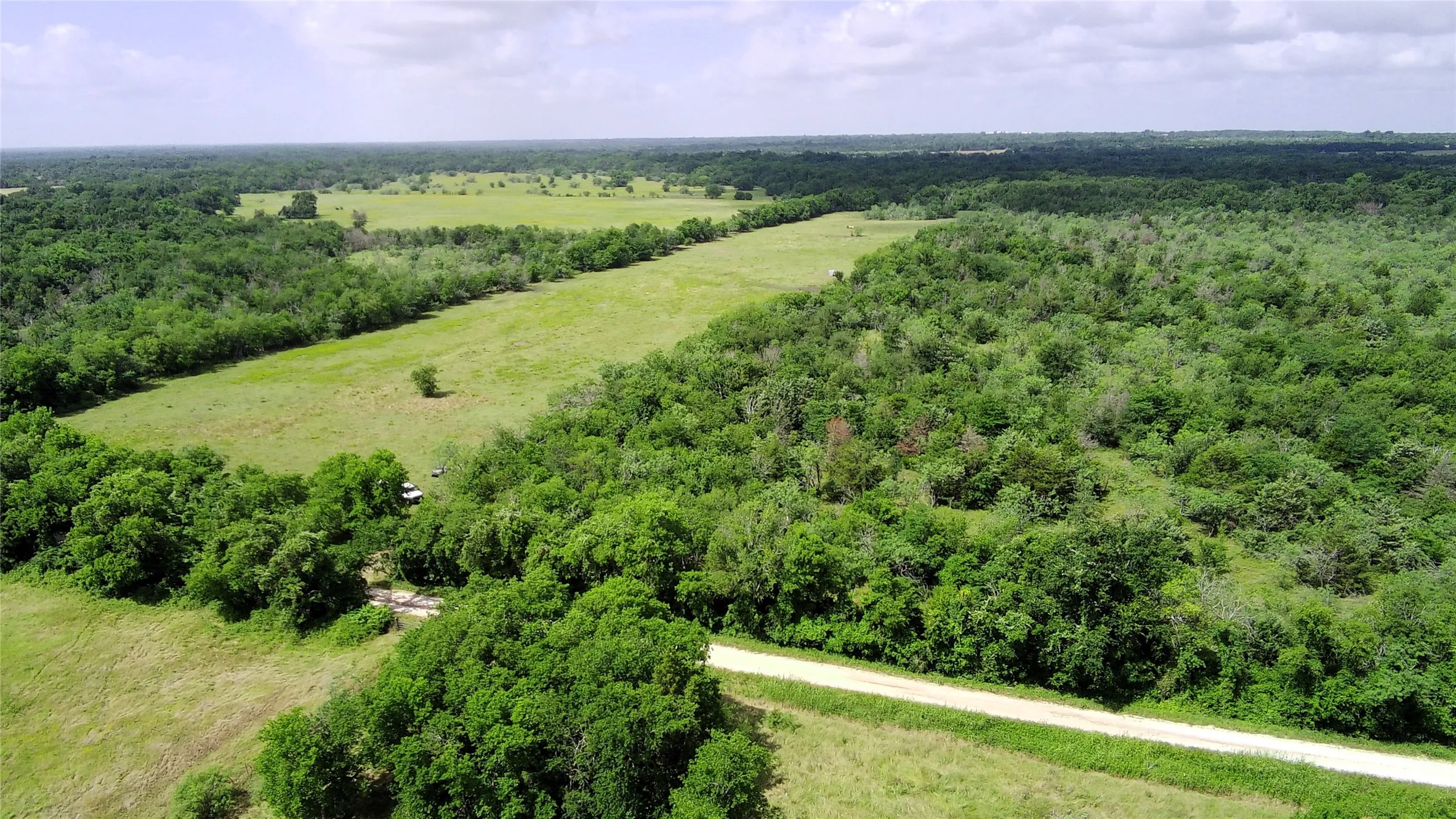 Unimproved Land For Sale in Limestone County , 000 LCR 663, Kosse, Texas 76653, 0, 0, Garage spaces, 0 Sqft, built in 0, mls#21355372, Real Estate Agent in Kosse, Homes For Sale in Limestone county, Homes For Sale in Kosse, Realtor in Kosse Texas, Real Estate Brokerage Independent Realty Texas, Luminita Cordes Realtor