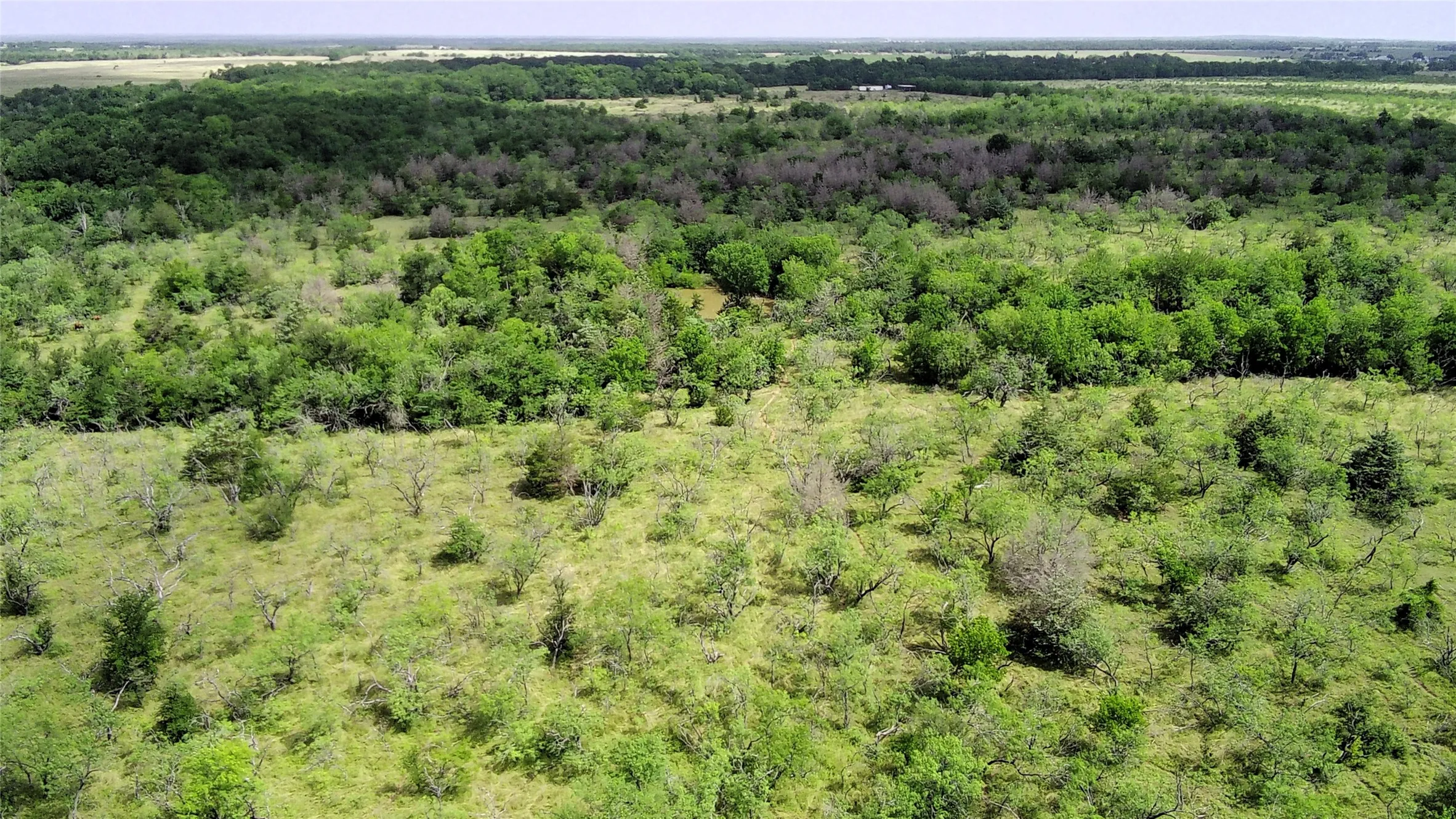 Unimproved Land For Sale in Limestone County , 000 LCR 663, Kosse, Texas 76653, 0, 0, Garage spaces, 0 Sqft, built in 0, mls#21355372, Real Estate Agent in Kosse, Homes For Sale in Limestone county, Homes For Sale in Kosse, Realtor in Kosse Texas, Real Estate Brokerage Independent Realty Texas, Luminita Cordes Realtor