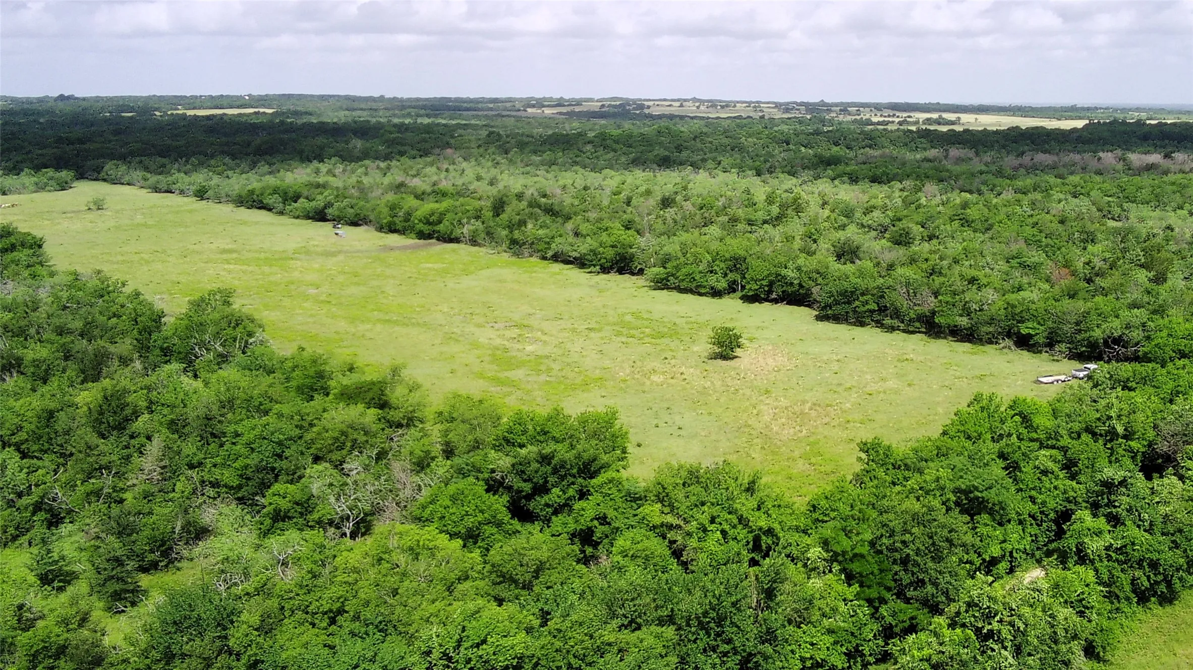Unimproved Land For Sale in Limestone County , 000 LCR 663, Kosse, Texas 76653, 0, 0, Garage spaces, 0 Sqft, built in 0, mls#21355372, Real Estate Agent in Kosse, Homes For Sale in Limestone county, Homes For Sale in Kosse, Realtor in Kosse Texas, Real Estate Brokerage Independent Realty Texas, Luminita Cordes Realtor