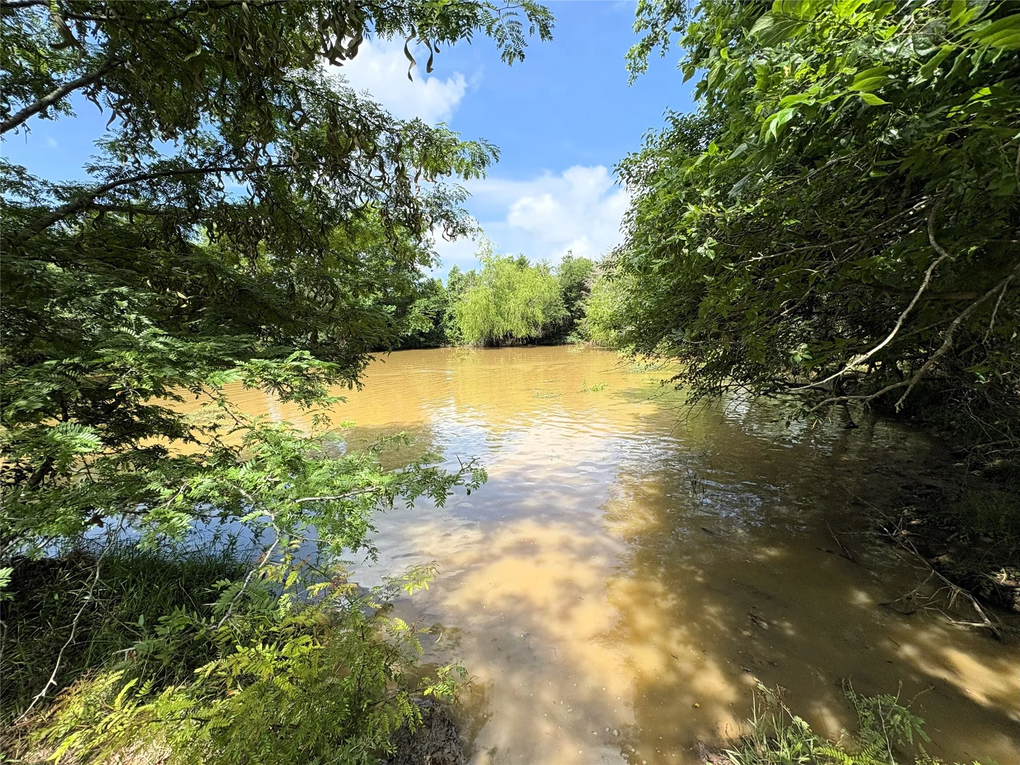 Unimproved Land For Sale in Limestone County , 000 LCR 663, Kosse, Texas 76653, 0, 0, Garage spaces, 0 Sqft, built in 0, mls#21355372, Real Estate Agent in Kosse, Homes For Sale in Limestone county, Homes For Sale in Kosse, Realtor in Kosse Texas, Real Estate Brokerage Independent Realty Texas, Luminita Cordes Realtor