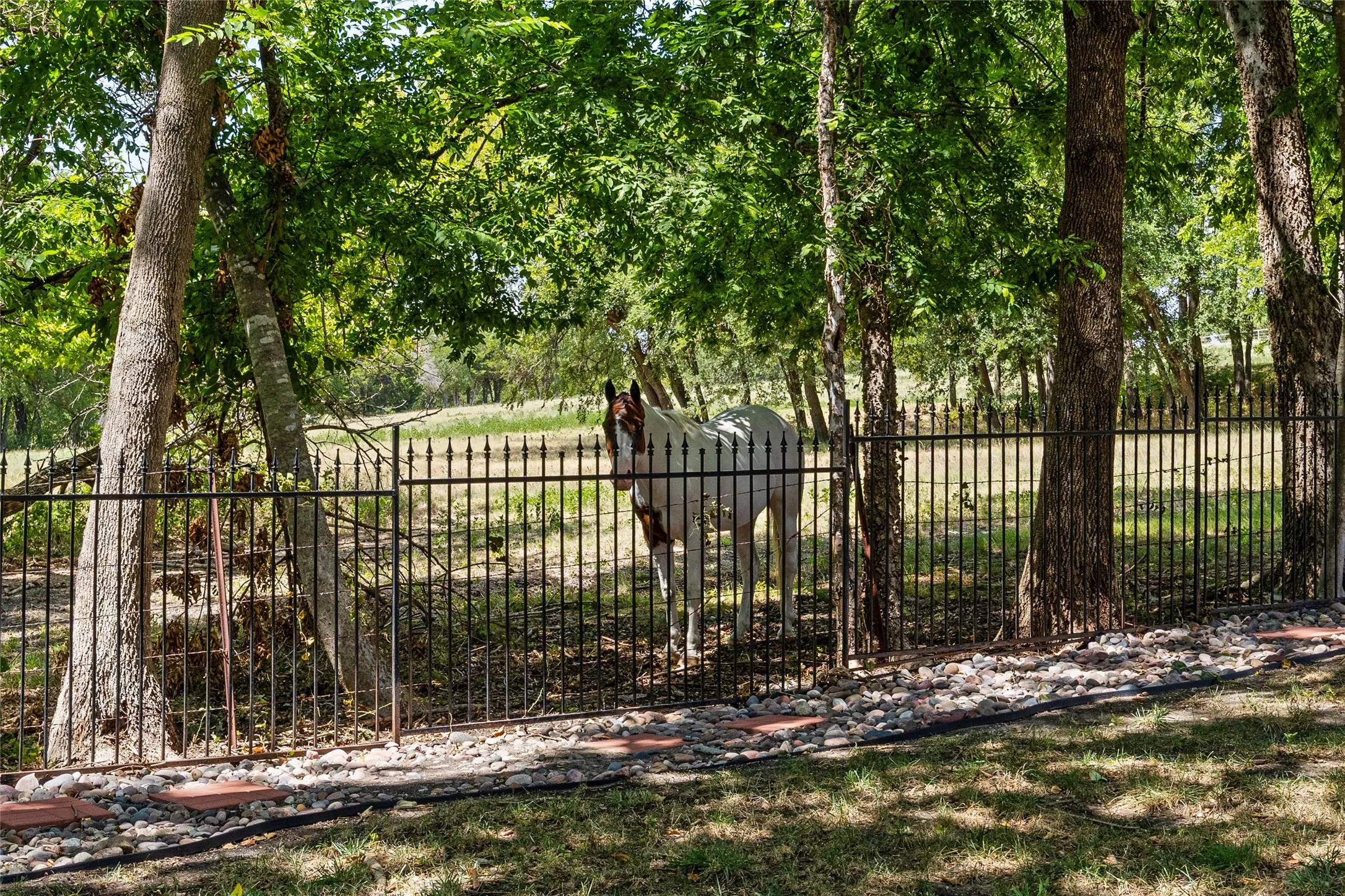 Single Family Residence For Sale in Rockwall County , 2409 Legend Drive, Heath, Texas 75032, 5 Bedroom, 5 Bathroom, 3 Garage spaces, 3,788 Sqft, built in 1999, mls#21359047, Real Estate Agent in Heath, Homes For Sale in Rockwall county, Homes For Sale in Heath, Realtor in Heath Texas, Real Estate Brokerage Independent Realty Texas, Luminita Cordes Realtor