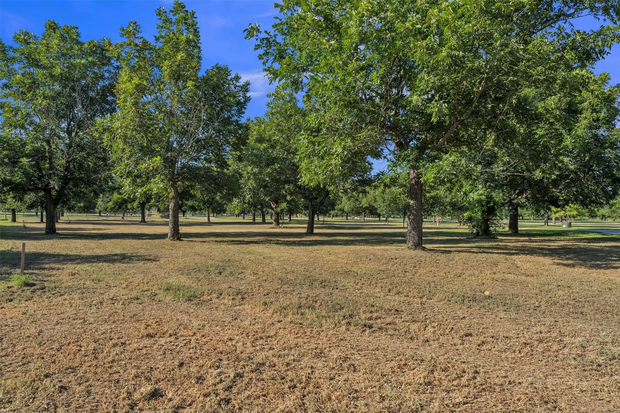 Unimproved Land For Sale in Hood County , 11008 Orchards Boulevard, Granbury, Texas 76033, 0, 0, Garage spaces, 0 Sqft, built in 0, mls#21358265, Real Estate Agent in Granbury, Homes For Sale in Hood county, Homes For Sale in Granbury, Realtor in Granbury Texas, Real Estate Brokerage Independent Realty Texas, Luminita Cordes Realtor
