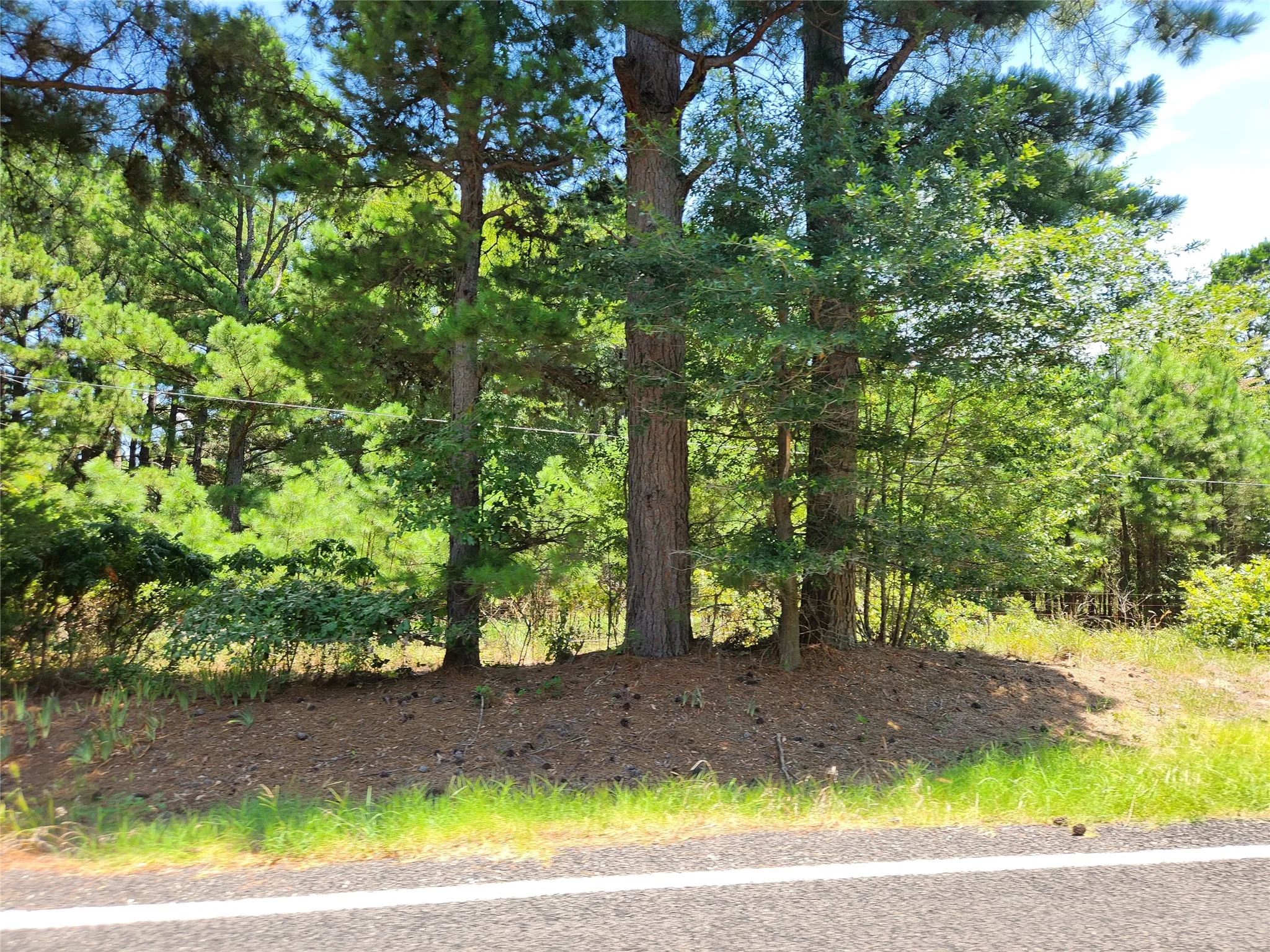 Unimproved Land For Sale in Lamar County , TBD FM 1500, Paris, Texas 75460, 0, 0, Garage spaces, 0 Sqft, built in 0, Price $200,000, mls#21359612, Real Estate Agent in Paris, Homes For Sale in Lamar county, Homes For Sale in Paris, Realtor in Paris Texas, Real Estate Brokerage Independent Realty Texas, Luminita Cordes Realtor