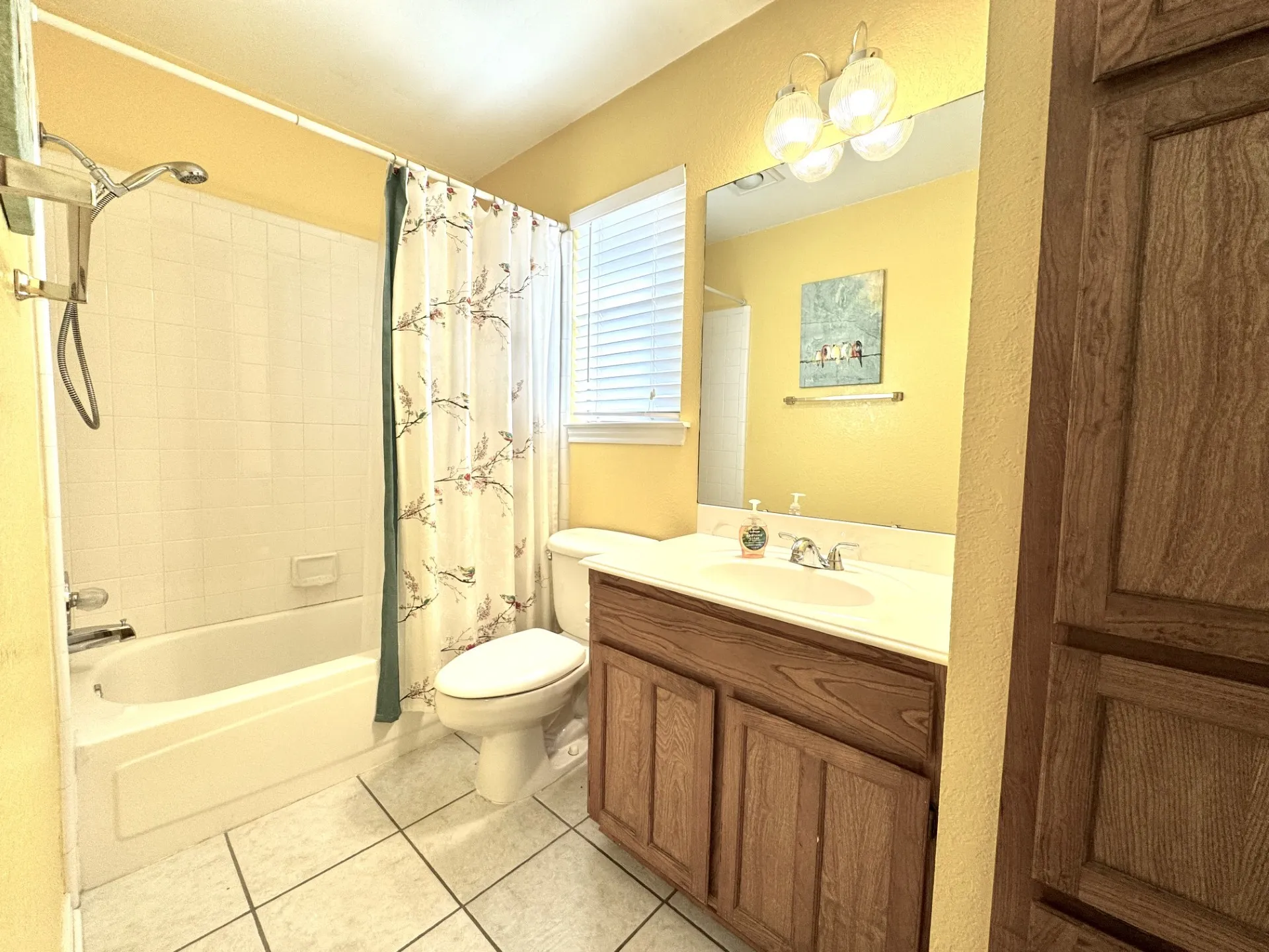 Hallway Full Bathroom features a built-in vanity with single sink, tub-shower combo, wood cabinetry for linens and under-sink storage, and a large wall-mounted mirror.