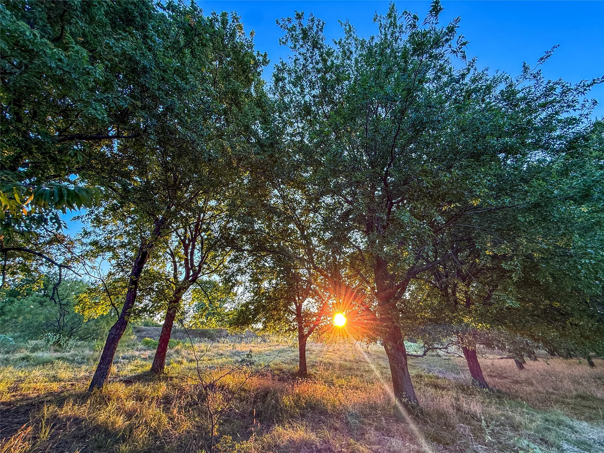 Unimproved Land For Sale in Grayson County , TBD HAZELWOOD, Sherman, Texas 75092, 0, 0, Garage spaces, 0 Sqft, built in 0, mls#21359757, Real Estate Agent in Sherman, Homes For Sale in Grayson county, Homes For Sale in Sherman, Realtor in Sherman Texas, Real Estate Brokerage Independent Realty Texas, Luminita Cordes Realtor