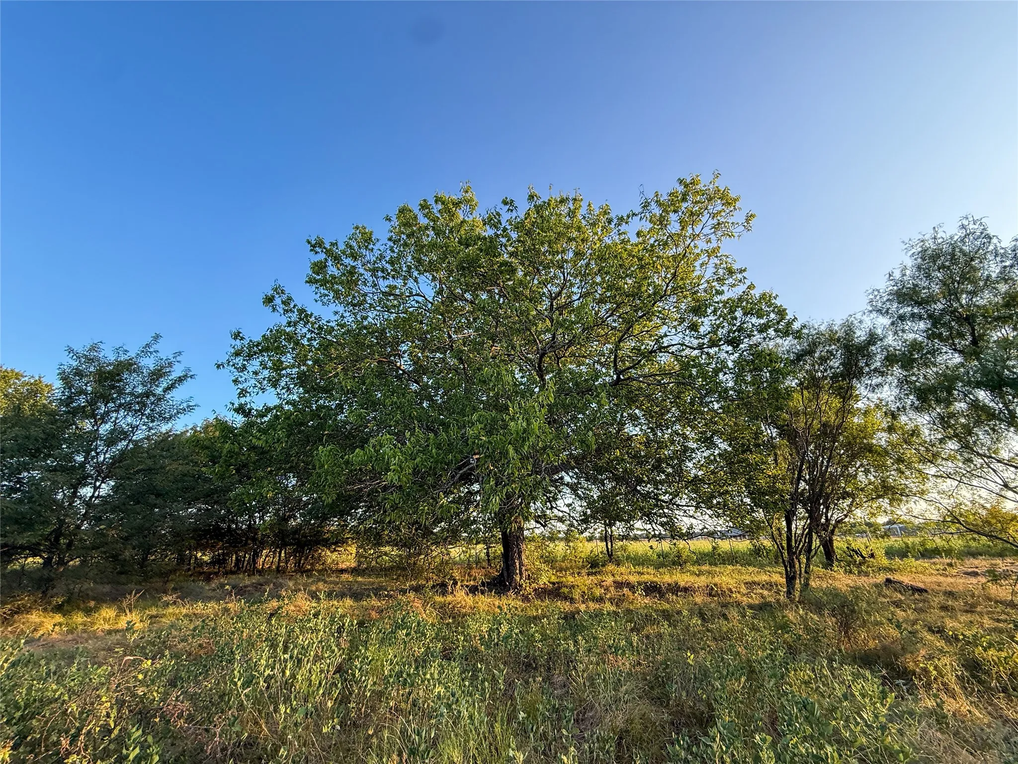 Unimproved Land For Sale in Grayson County , TBD HAZELWOOD, Sherman, Texas 75092, 0, 0, Garage spaces, 0 Sqft, built in 0, mls#21359757, Real Estate Agent in Sherman, Homes For Sale in Grayson county, Homes For Sale in Sherman, Realtor in Sherman Texas, Real Estate Brokerage Independent Realty Texas, Luminita Cordes Realtor
