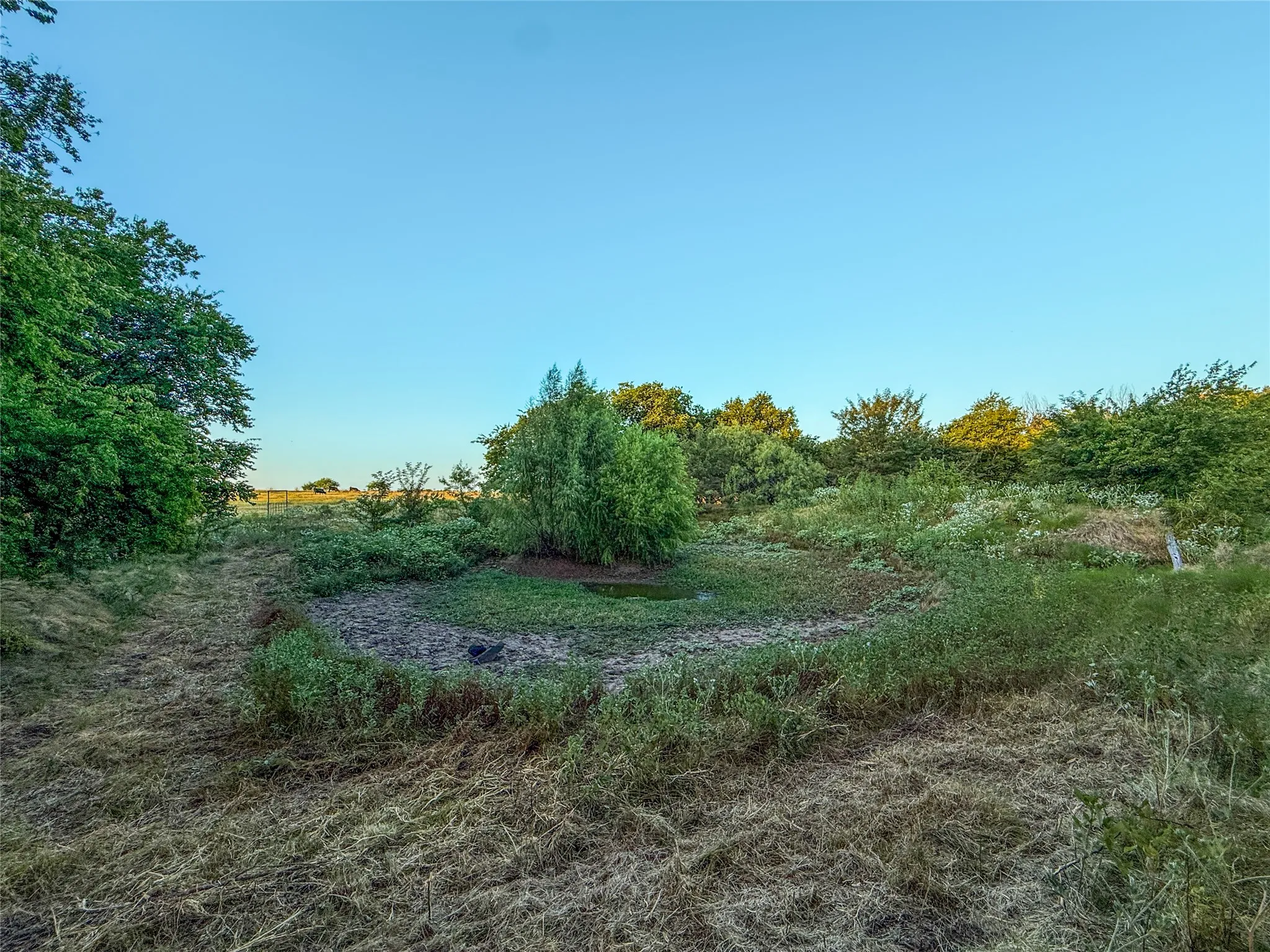 Unimproved Land For Sale in Grayson County , TBD HAZELWOOD, Sherman, Texas 75092, 0, 0, Garage spaces, 0 Sqft, built in 0, mls#21359757, Real Estate Agent in Sherman, Homes For Sale in Grayson county, Homes For Sale in Sherman, Realtor in Sherman Texas, Real Estate Brokerage Independent Realty Texas, Luminita Cordes Realtor