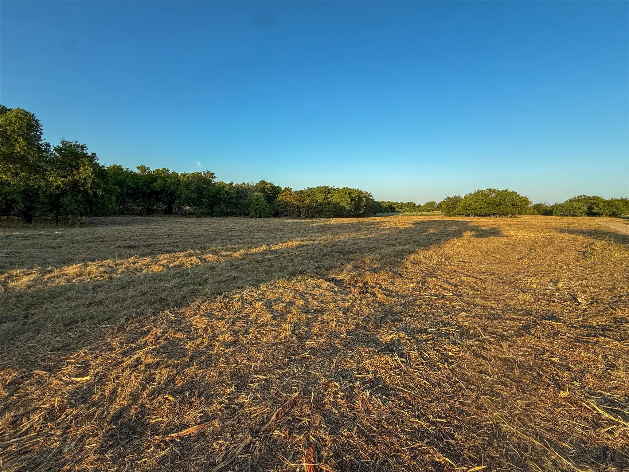 Unimproved Land For Sale in Grayson County , TBD HAZELWOOD, Sherman, Texas 75092, 0, 0, Garage spaces, 0 Sqft, built in 0, mls#21359757, Real Estate Agent in Sherman, Homes For Sale in Grayson county, Homes For Sale in Sherman, Realtor in Sherman Texas, Real Estate Brokerage Independent Realty Texas, Luminita Cordes Realtor