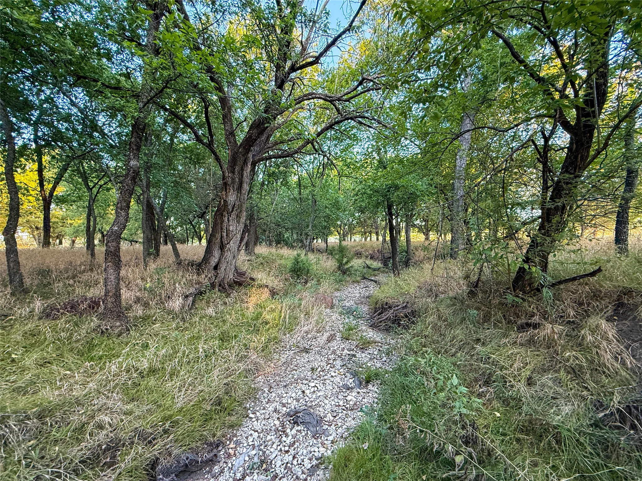 Unimproved Land For Sale in Grayson County , TBD HAZELWOOD, Sherman, Texas 75092, 0, 0, Garage spaces, 0 Sqft, built in 0, mls#21359757, Real Estate Agent in Sherman, Homes For Sale in Grayson county, Homes For Sale in Sherman, Realtor in Sherman Texas, Real Estate Brokerage Independent Realty Texas, Luminita Cordes Realtor