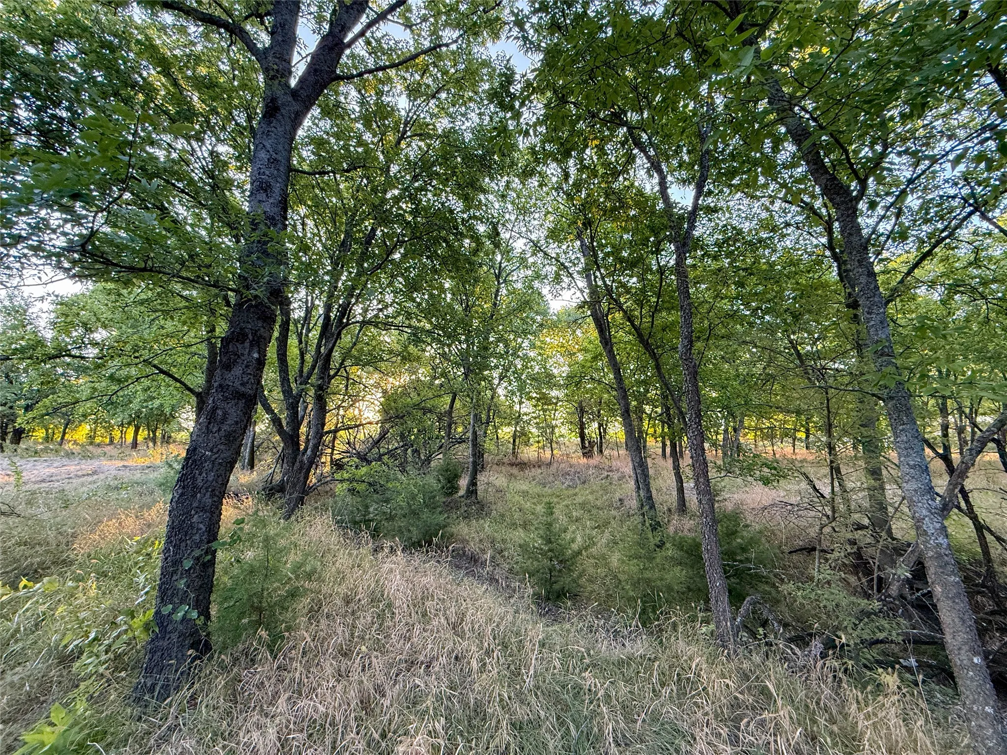 Unimproved Land For Sale in Grayson County , TBD HAZELWOOD, Sherman, Texas 75092, 0, 0, Garage spaces, 0 Sqft, built in 0, mls#21359757, Real Estate Agent in Sherman, Homes For Sale in Grayson county, Homes For Sale in Sherman, Realtor in Sherman Texas, Real Estate Brokerage Independent Realty Texas, Luminita Cordes Realtor