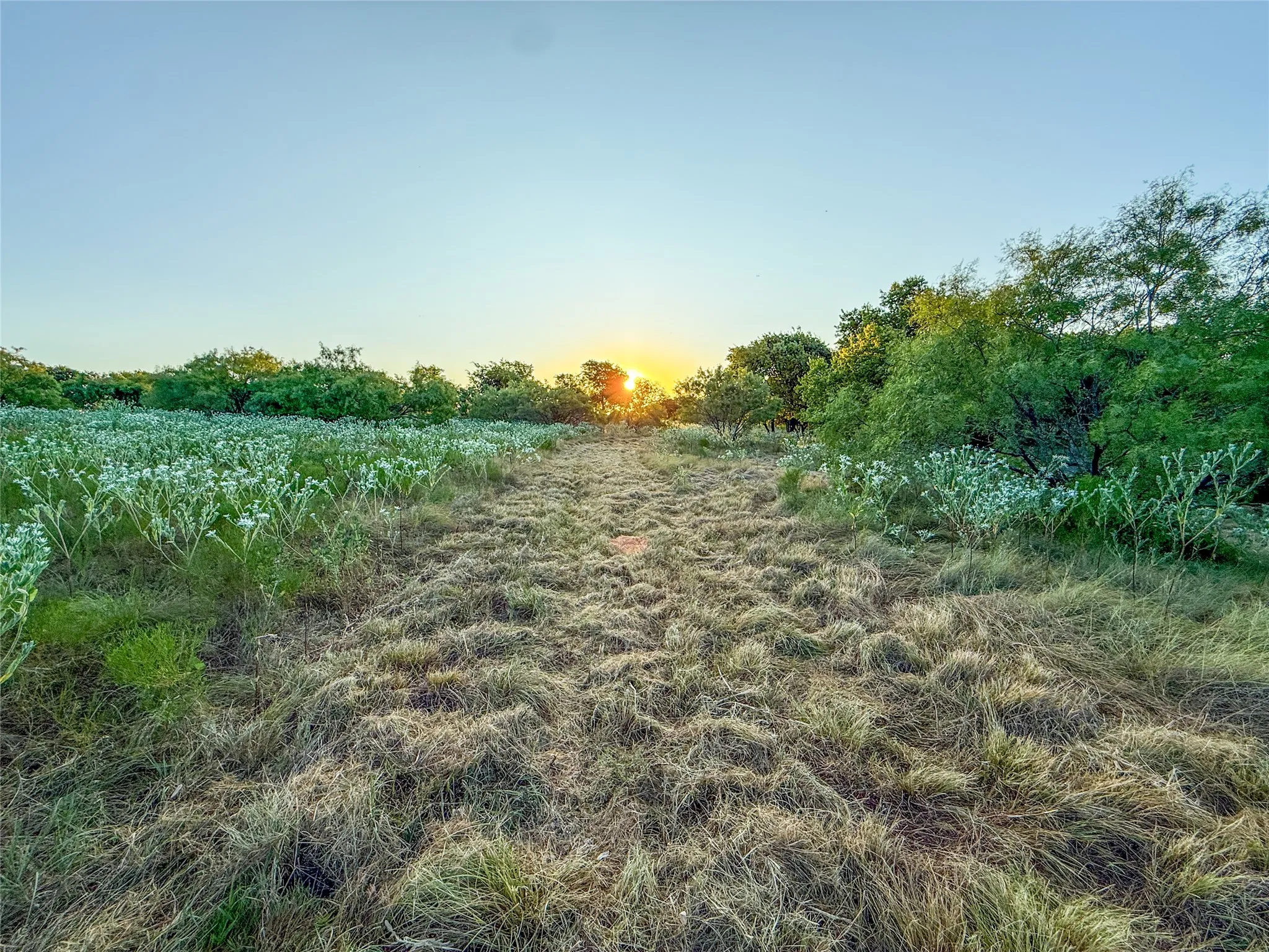 Unimproved Land For Sale in Grayson County , TBD HAZELWOOD, Sherman, Texas 75092, 0, 0, Garage spaces, 0 Sqft, built in 0, mls#21359757, Real Estate Agent in Sherman, Homes For Sale in Grayson county, Homes For Sale in Sherman, Realtor in Sherman Texas, Real Estate Brokerage Independent Realty Texas, Luminita Cordes Realtor