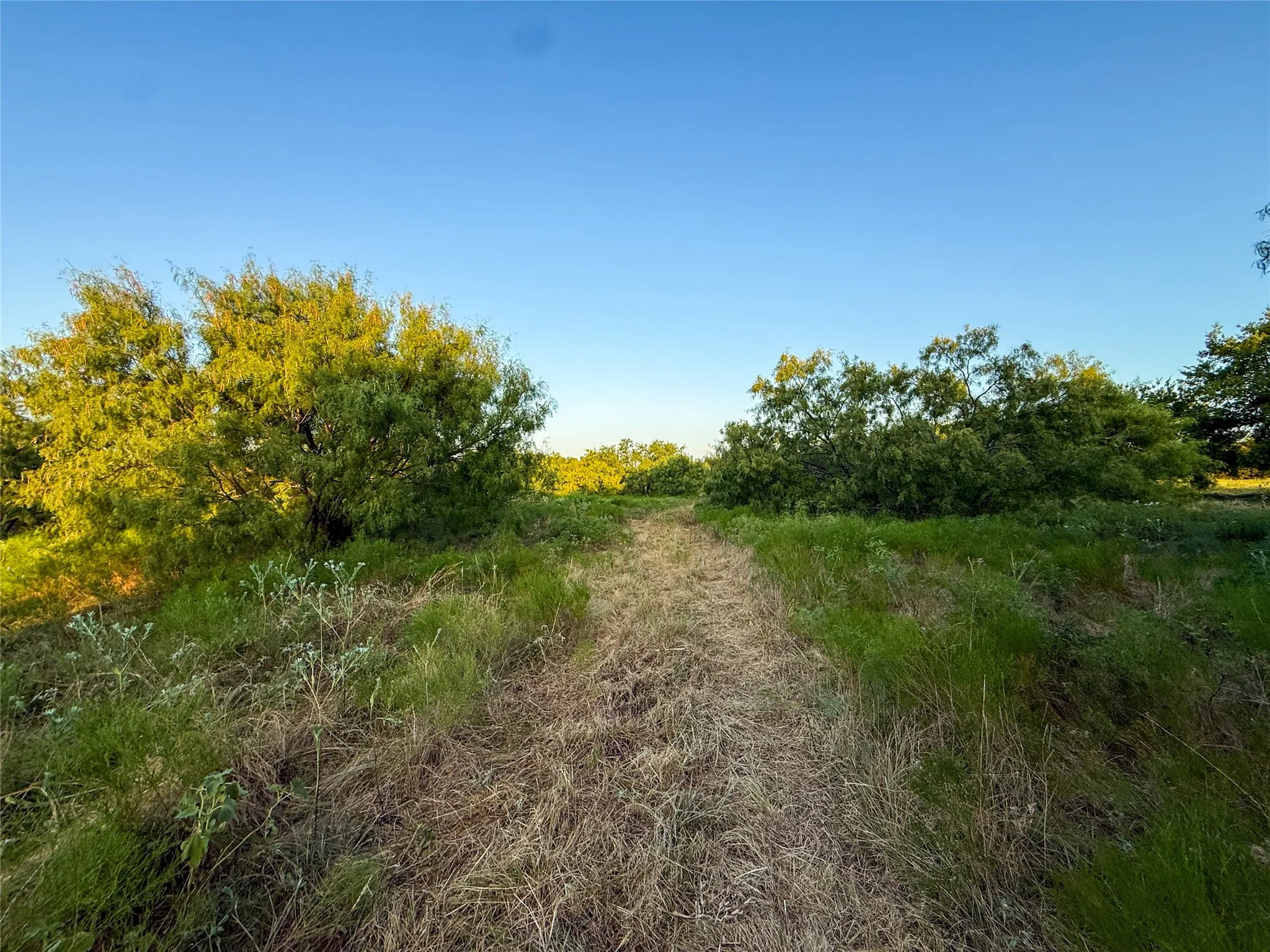 Unimproved Land For Sale in Grayson County , TBD HAZELWOOD, Sherman, Texas 75092, 0, 0, Garage spaces, 0 Sqft, built in 0, mls#21359757, Real Estate Agent in Sherman, Homes For Sale in Grayson county, Homes For Sale in Sherman, Realtor in Sherman Texas, Real Estate Brokerage Independent Realty Texas, Luminita Cordes Realtor