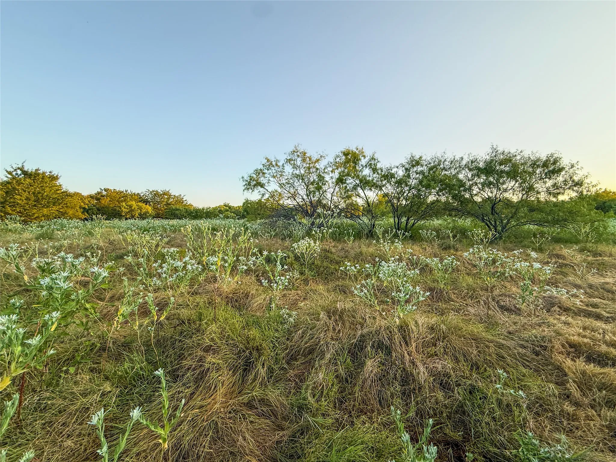 Unimproved Land For Sale in Grayson County , TBD HAZELWOOD, Sherman, Texas 75092, 0, 0, Garage spaces, 0 Sqft, built in 0, mls#21359757, Real Estate Agent in Sherman, Homes For Sale in Grayson county, Homes For Sale in Sherman, Realtor in Sherman Texas, Real Estate Brokerage Independent Realty Texas, Luminita Cordes Realtor
