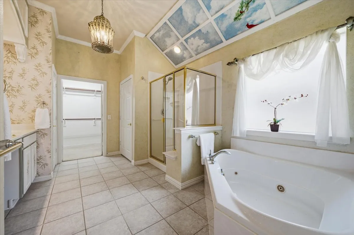 Hand painted cardinals in ceiling over the jetted tub - wallpaper removed - updated shower door