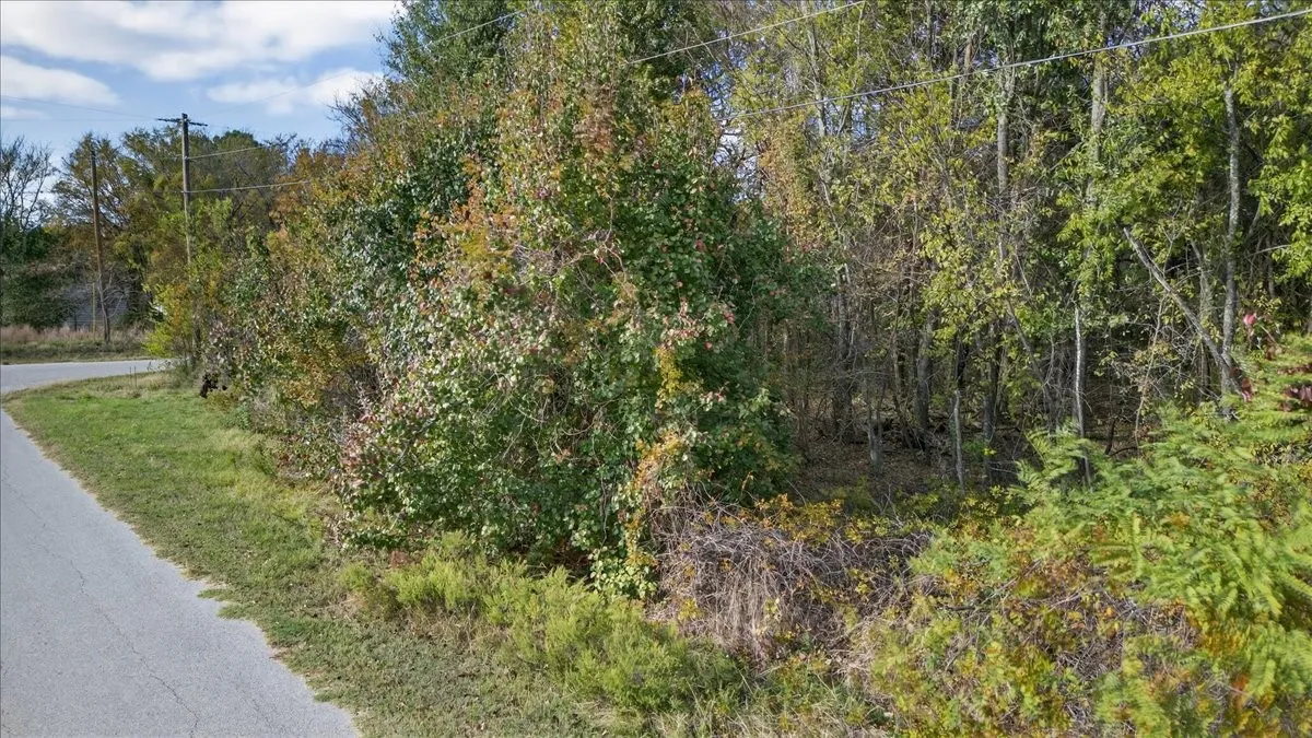 Unimproved Land For Sale in Henderson County , 720 Oahu Loop, Tool, Texas 75143, 0, 0, Garage spaces, 0 Sqft, built in 0, Price $32,000, mls#21359074, Real Estate Agent in Tool, Homes For Sale in Henderson county, Homes For Sale in Tool, Realtor in Tool Texas, Real Estate Brokerage Independent Realty Texas, Luminita Cordes Realtor