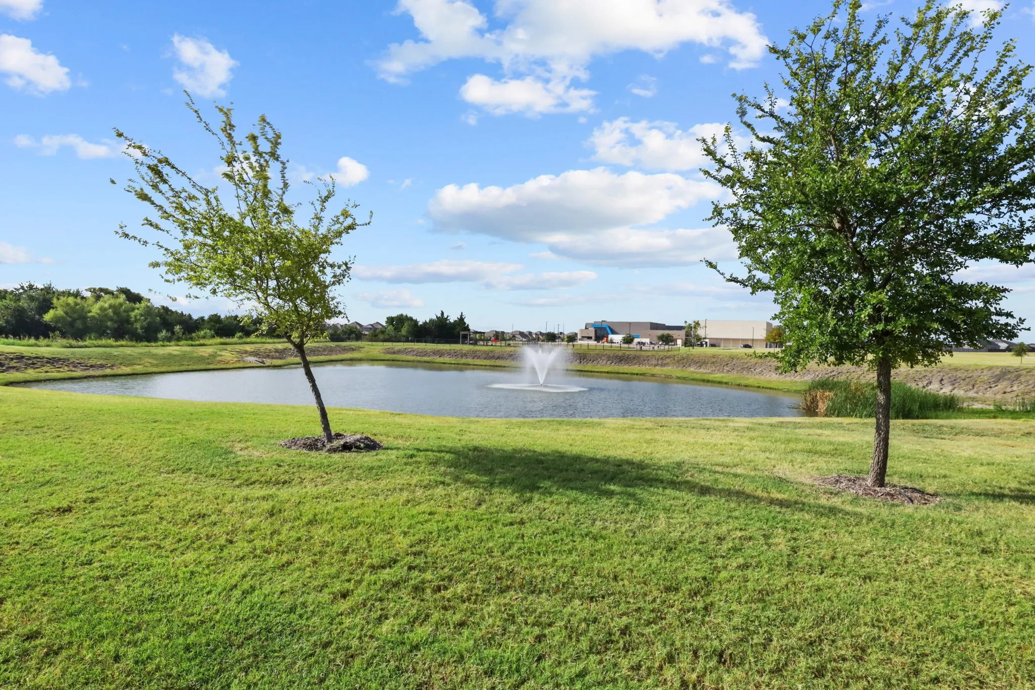 Single Family Residence For Sale in Kaufman County , 2994 Cedeno Drive, Forney, Texas 75126, 3 Bedroom, 2 Bathroom, 2 Garage spaces, 1,461 Sqft, built in 2021, mls#21357938, Real Estate Agent in Forney, Homes For Sale in Kaufman county, Homes For Sale in Forney, Realtor in Forney Texas, Real Estate Brokerage Independent Realty Texas, Luminita Cordes Realtor