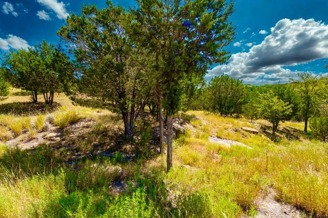 5 Acres to hike and ride