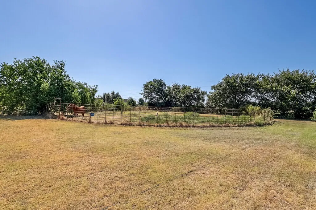 View from the house of the 2 acres with this being southeast corner of land