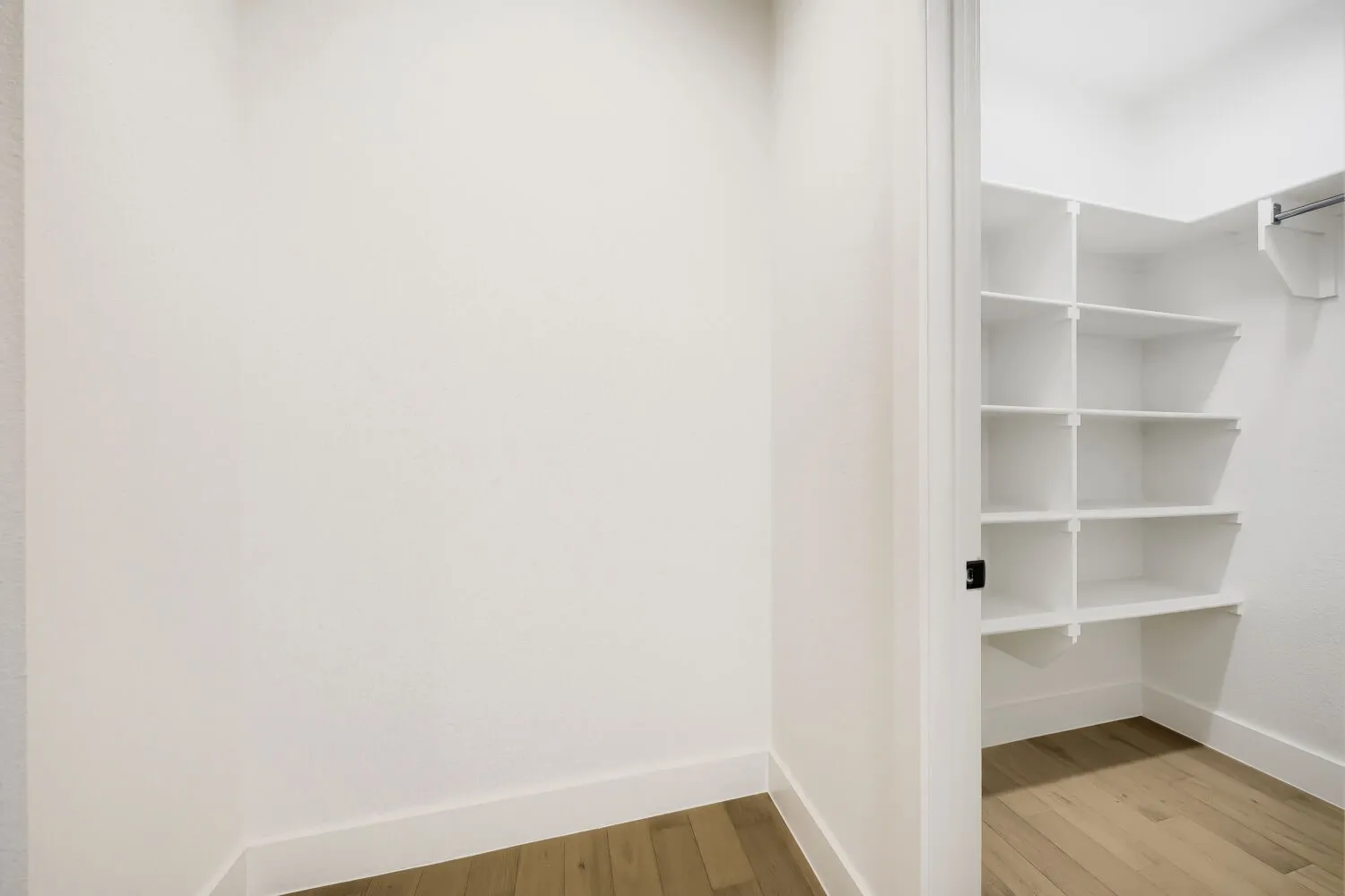 Walk-in closet with wood-finish flooring and built-in shelving