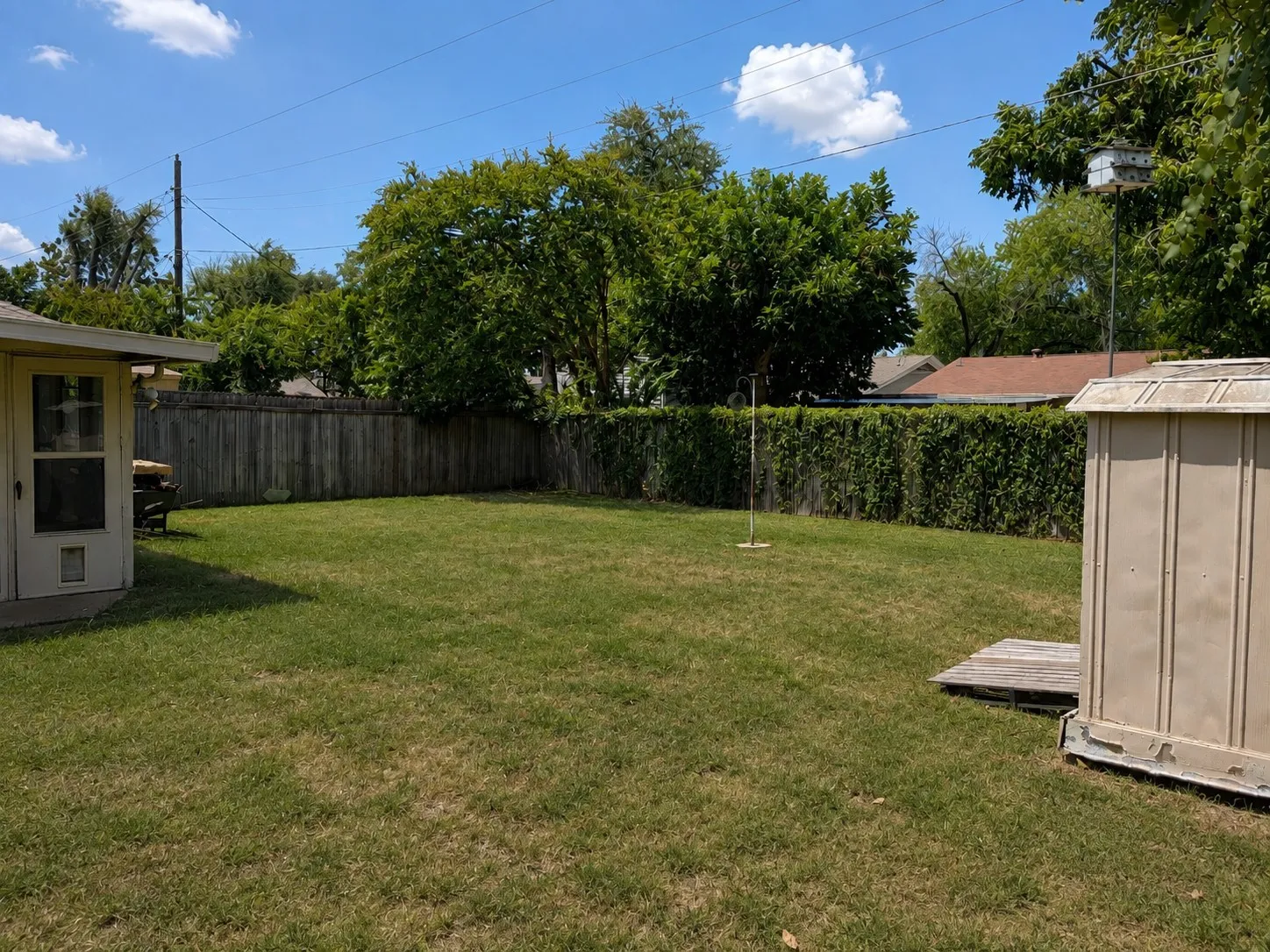 Large Backyard