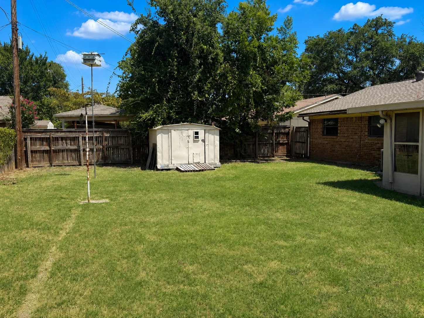 Large Backyard