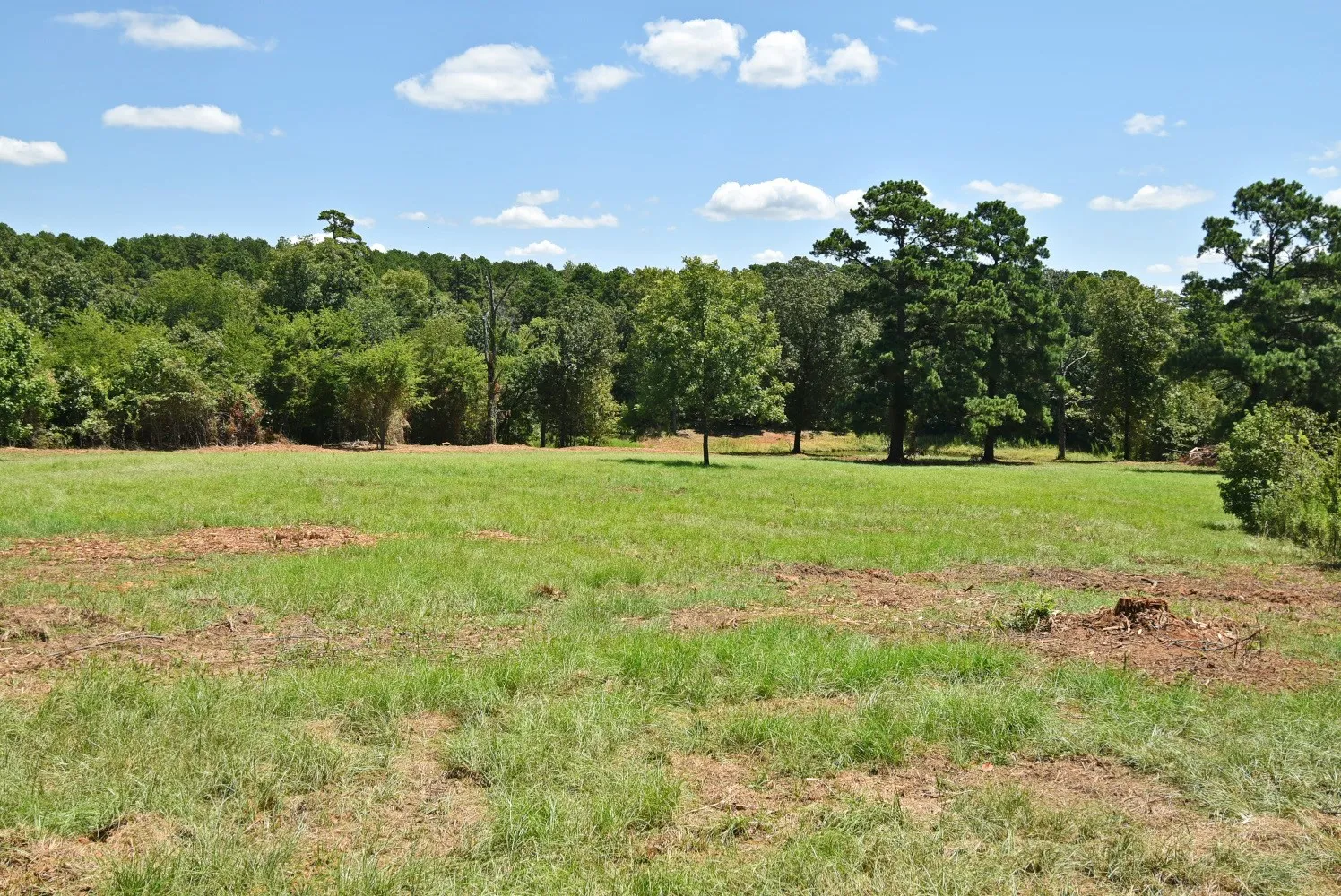 Single Family Residence For Sale in Wood County , 391 County Road 3254, Quitman, Texas 75783, 3 Bedroom, 2 Bathroom, 1 Garage spaces, 2,376 Sqft, built in 1976, mls#21358051, Real Estate Agent in Quitman, Homes For Sale in Wood county, Homes For Sale in Quitman, Realtor in Quitman Texas, Real Estate Brokerage Independent Realty Texas, Luminita Cordes Realtor