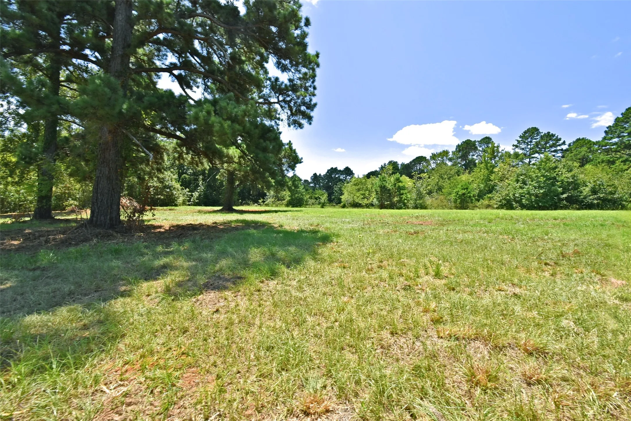 Single Family Residence For Sale in Wood County , 391 County Road 3254, Quitman, Texas 75783, 3 Bedroom, 2 Bathroom, 1 Garage spaces, 2,376 Sqft, built in 1976, mls#21358051, Real Estate Agent in Quitman, Homes For Sale in Wood county, Homes For Sale in Quitman, Realtor in Quitman Texas, Real Estate Brokerage Independent Realty Texas, Luminita Cordes Realtor
