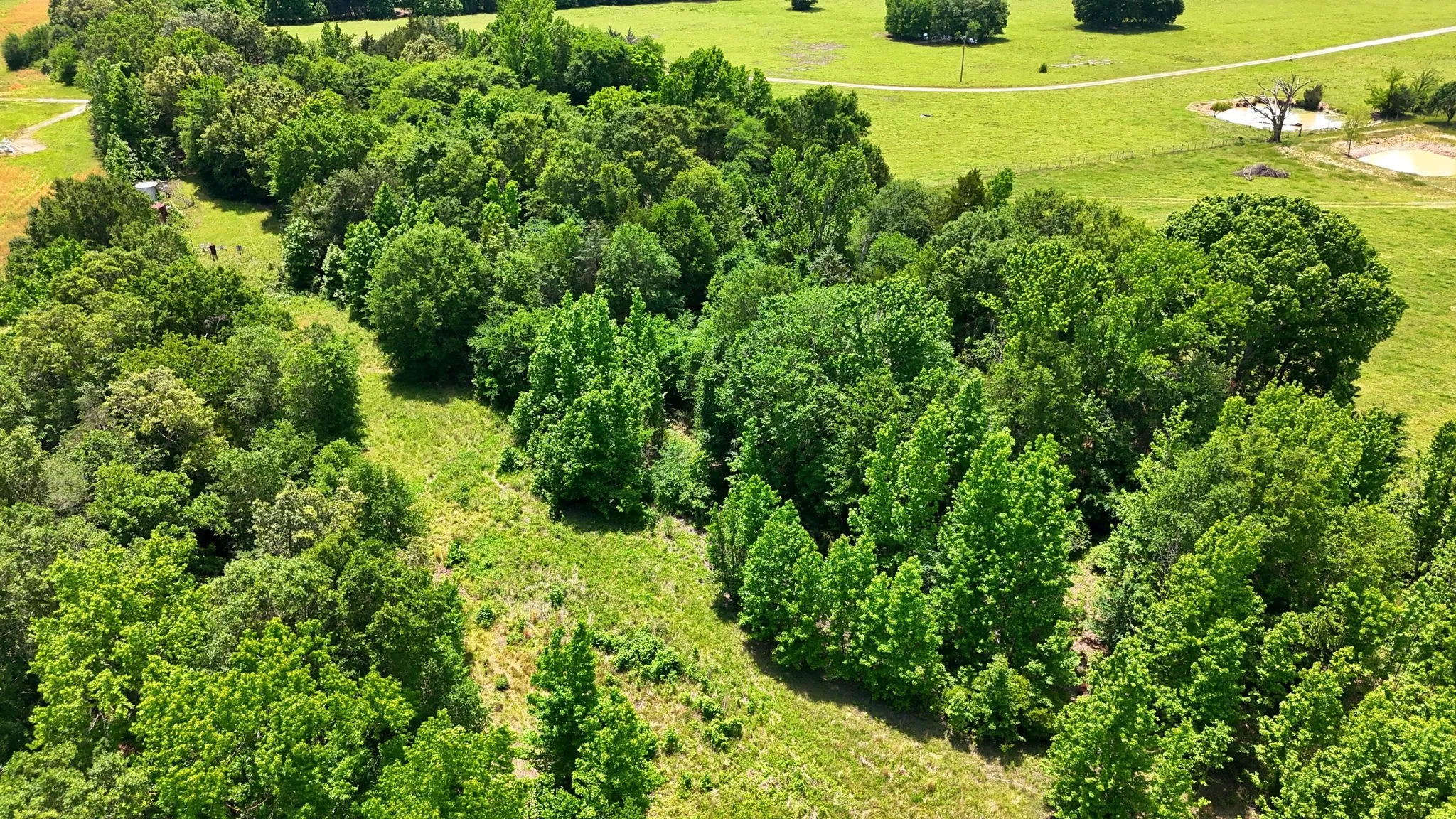 Improved Land For Sale in Wood County , 368 County Road 4960, Quitman, Texas 75783, 0, 0, Garage spaces, 0 Sqft, built in 1985, mls#21359899, Real Estate Agent in Quitman, Homes For Sale in Wood county, Homes For Sale in Quitman, Realtor in Quitman Texas, Real Estate Brokerage Independent Realty Texas, Luminita Cordes Realtor