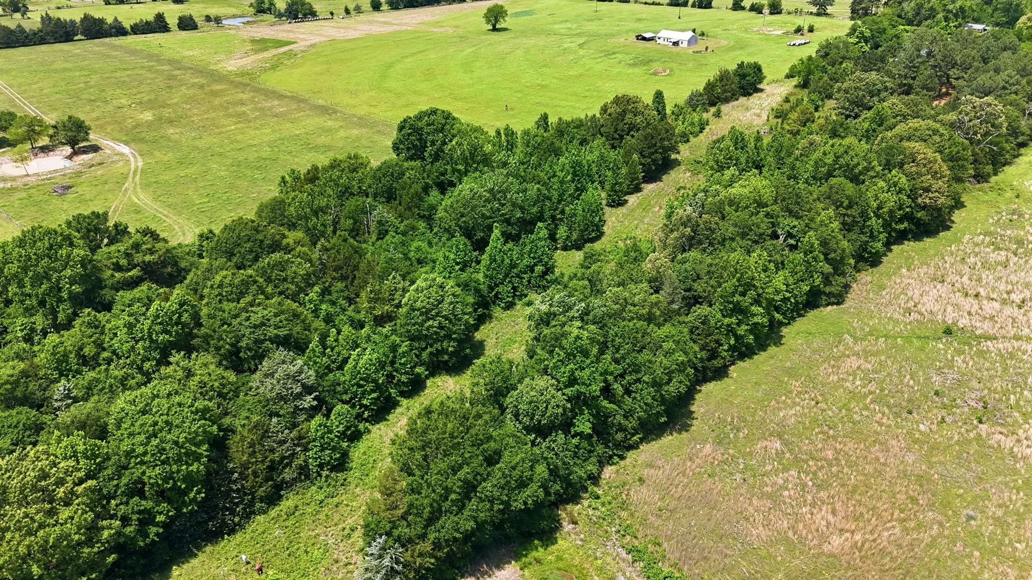 Improved Land For Sale in Wood County , 368 County Road 4960, Quitman, Texas 75783, 0, 0, Garage spaces, 0 Sqft, built in 1985, mls#21359899, Real Estate Agent in Quitman, Homes For Sale in Wood county, Homes For Sale in Quitman, Realtor in Quitman Texas, Real Estate Brokerage Independent Realty Texas, Luminita Cordes Realtor