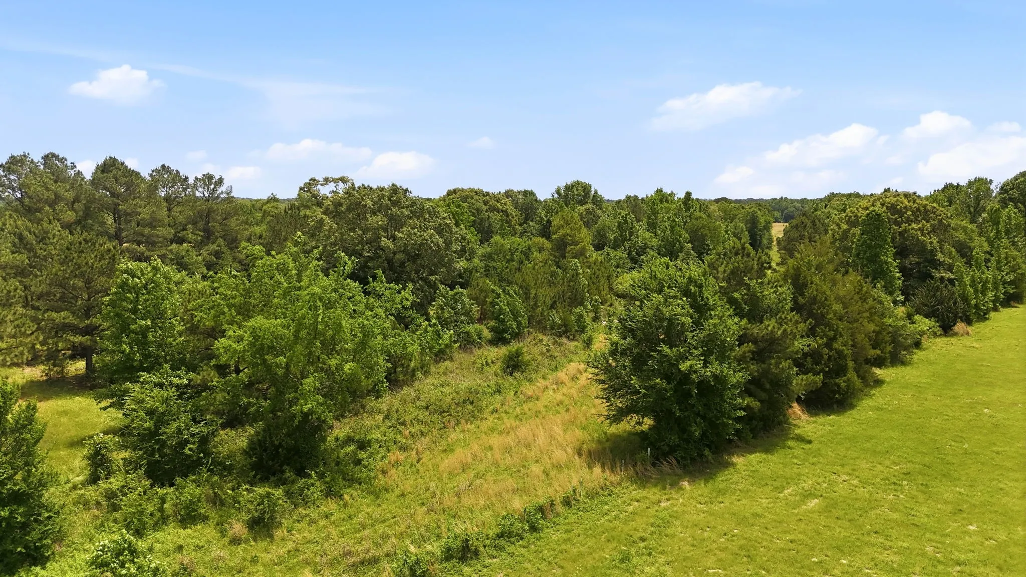 Single Family Residence For Sale in Wood County , 368 County Road 4960, Quitman, Texas 75783, 3 Bedroom, 1 Bathroom, Garage spaces, 2,006 Sqft, built in 1985, mls#21359907, Real Estate Agent in Quitman, Homes For Sale in Wood county, Homes For Sale in Quitman, Realtor in Quitman Texas, Real Estate Brokerage Independent Realty Texas, Luminita Cordes Realtor