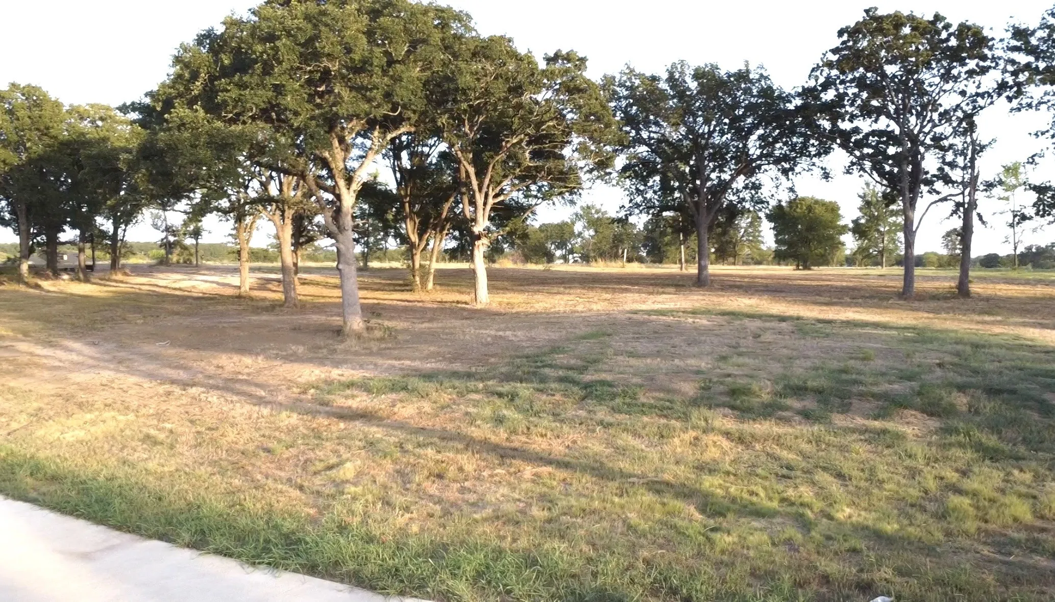 Unimproved Land For Sale in Hunt County , 308 Caro Drive, West Tawakoni, Texas 75474, 0, 0, Garage spaces, 0 Sqft, built in 0, Price $225,000, mls#21359921, Real Estate Agent in West Tawakoni, Homes For Sale in Hunt county, Homes For Sale in West Tawakoni, Realtor in West Tawakoni Texas, Real Estate Brokerage Independent Realty Texas, Luminita Cordes Realtor