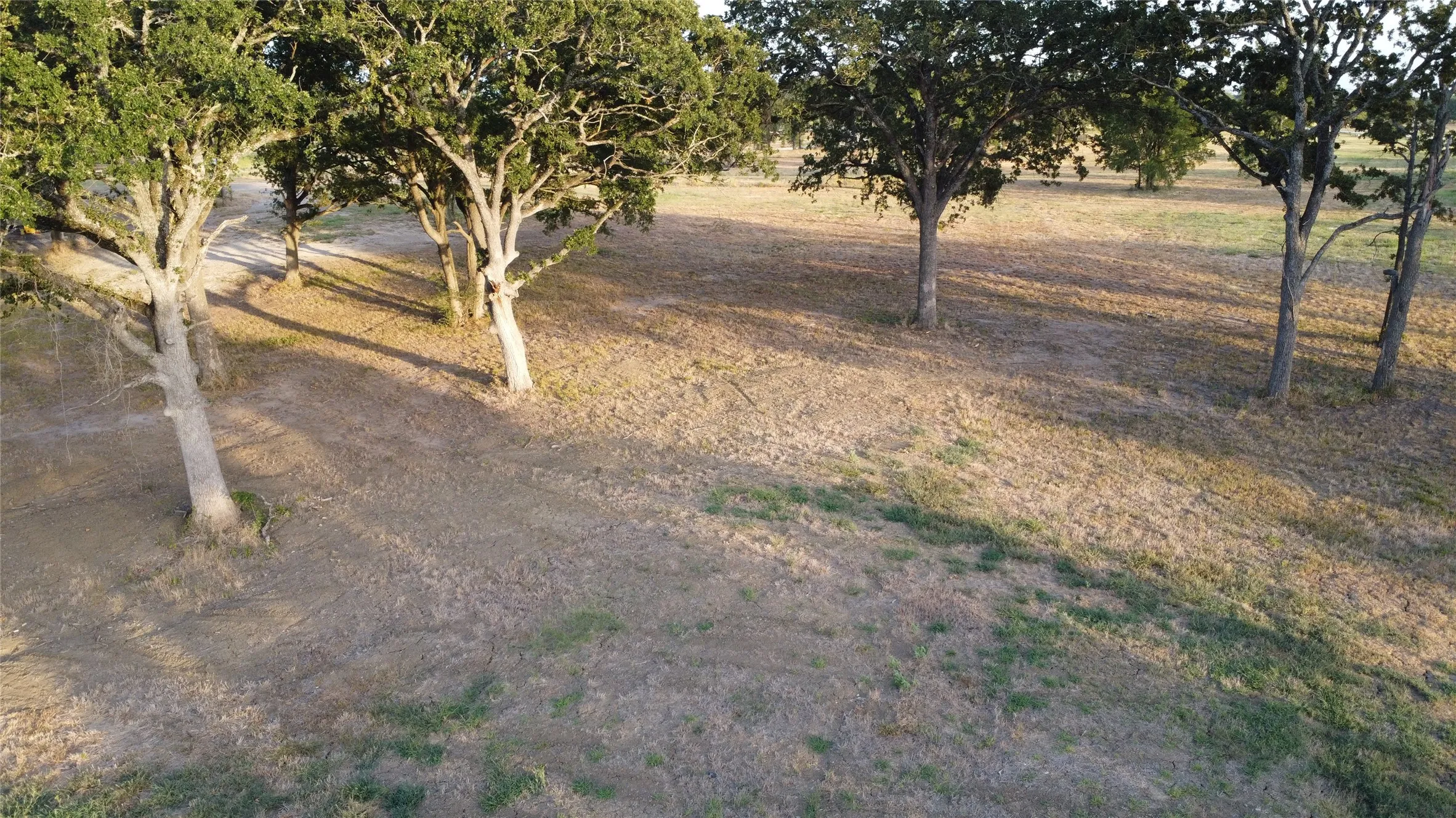 Ariel View