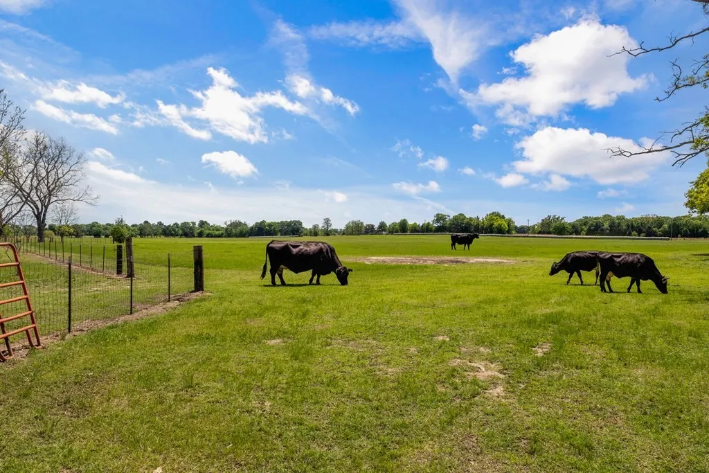 Single Family Residence For Sale in Van Zandt County , 290 A Vz County Road 3222, Wills Point, Texas 75169, 3 Bedroom, 3 Bathroom, 1 Garage spaces, 1,797 Sqft, built in 1995, mls#21359948, Real Estate Agent in Wills Point, Homes For Sale in Van Zandt county, Homes For Sale in Wills Point, Realtor in Wills Point Texas, Real Estate Brokerage Independent Realty Texas, Luminita Cordes Realtor