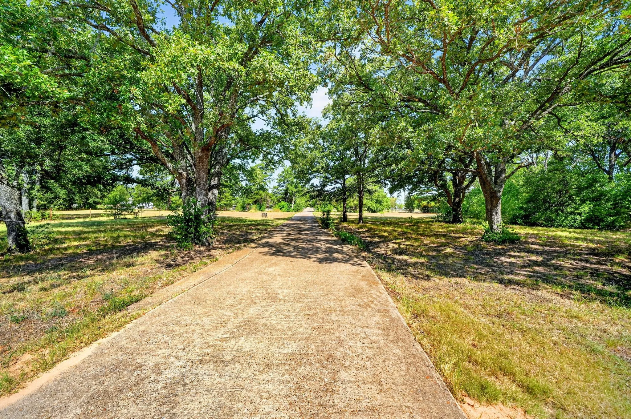 Mature tree-lined driveway with expansive grounds offering ample space and natural shade
