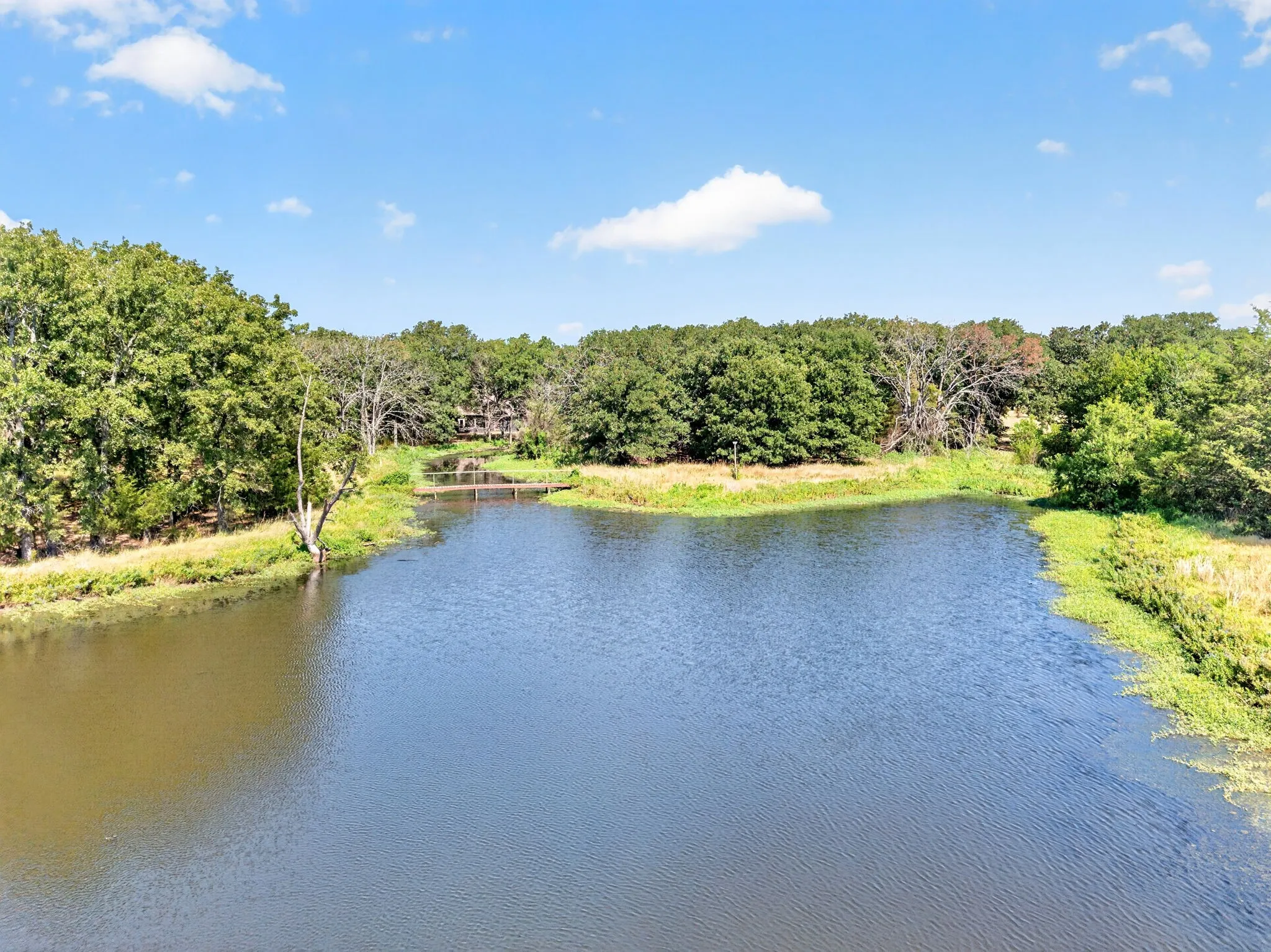 Serene waterfront setting with expansive pond, lush mature tree line, and verdant landscaping