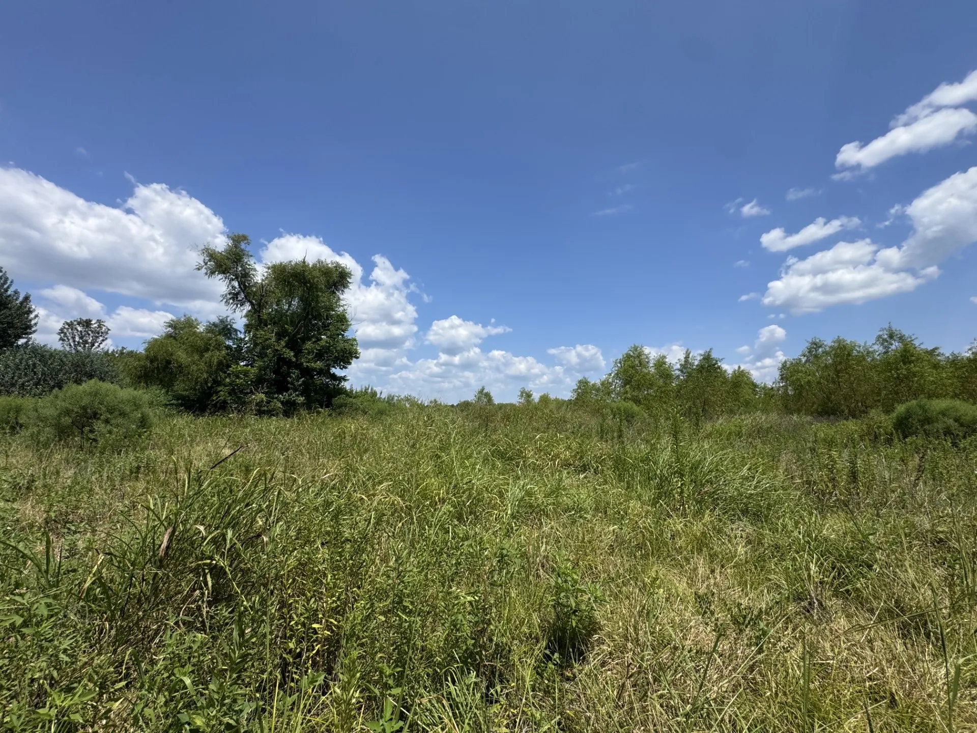 Unimproved Land For Sale in Red River (TX) County , 7425 FM 114, Clarksville, Texas 75426, 0, 0, Garage spaces, 0 Sqft, built in 0, Price $49,000, mls#21351094, Real Estate Agent in Clarksville, Homes For Sale in Red River (TX) county, Homes For Sale in Clarksville, Realtor in Clarksville Texas, Real Estate Brokerage Independent Realty Texas, Luminita Cordes Realtor