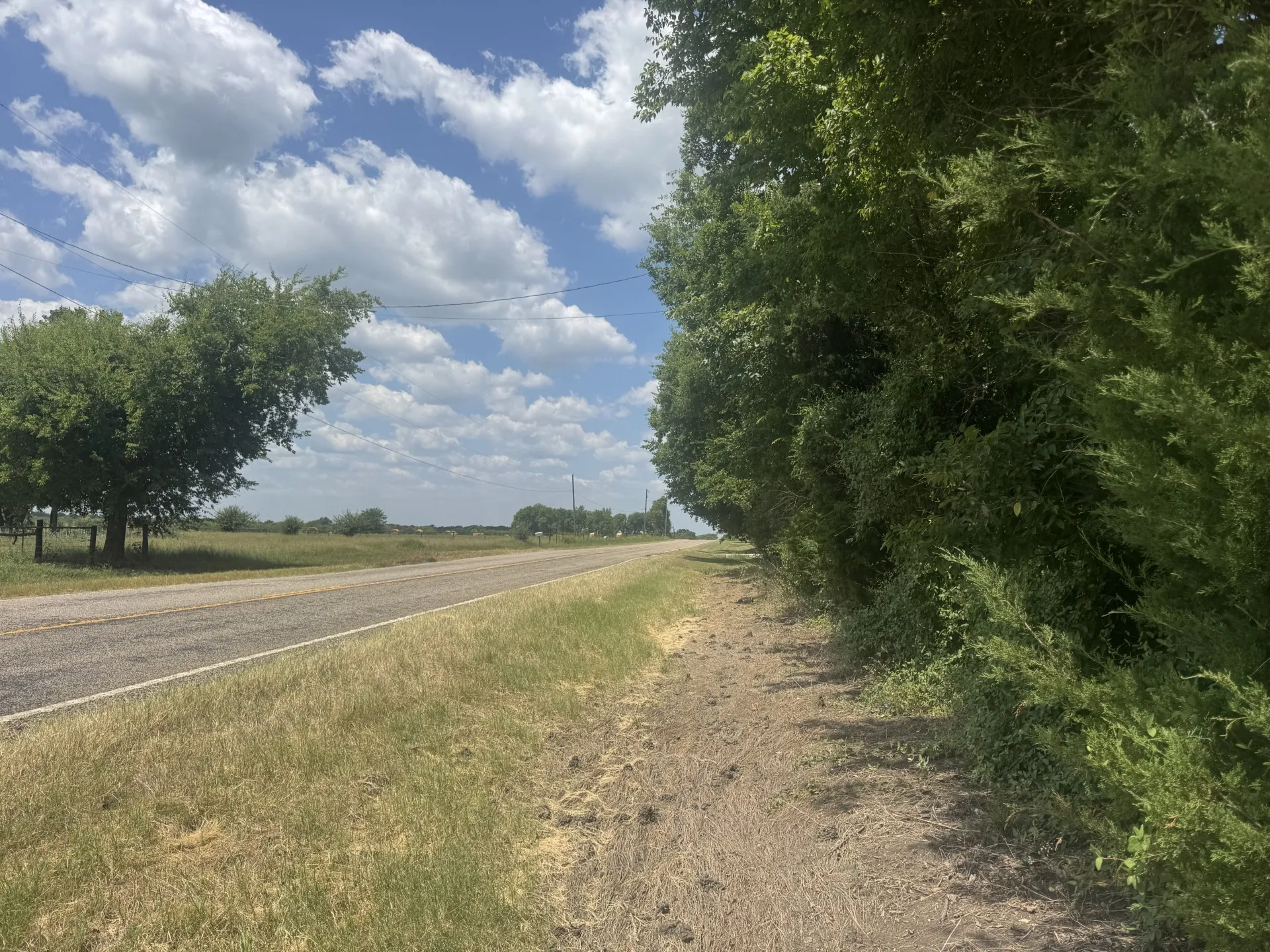 Unimproved Land For Sale in Red River (TX) County , 7425 FM 114, Clarksville, Texas 75426, 0, 0, Garage spaces, 0 Sqft, built in 0, Price $49,000, mls#21351094, Real Estate Agent in Clarksville, Homes For Sale in Red River (TX) county, Homes For Sale in Clarksville, Realtor in Clarksville Texas, Real Estate Brokerage Independent Realty Texas, Luminita Cordes Realtor