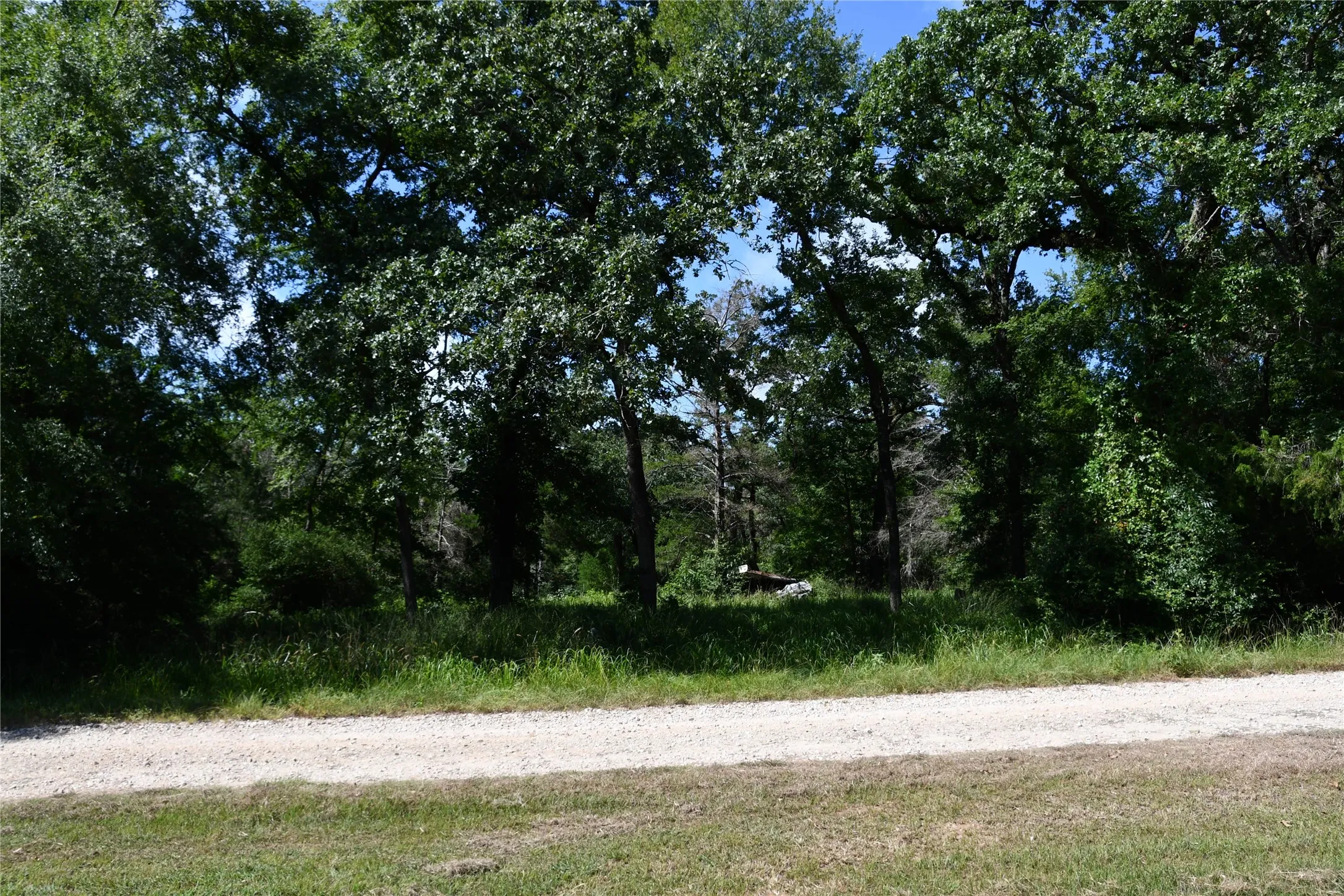 Unimproved Land For Sale in Limestone County , 14 LCR 895, Jewett, Texas 75846, 0, 0, Garage spaces, 0 Sqft, built in 0, Price $22,000, mls#21359966, Real Estate Agent in Jewett, Homes For Sale in Limestone county, Homes For Sale in Jewett, Realtor in Jewett Texas, Real Estate Brokerage Independent Realty Texas, Luminita Cordes Realtor
