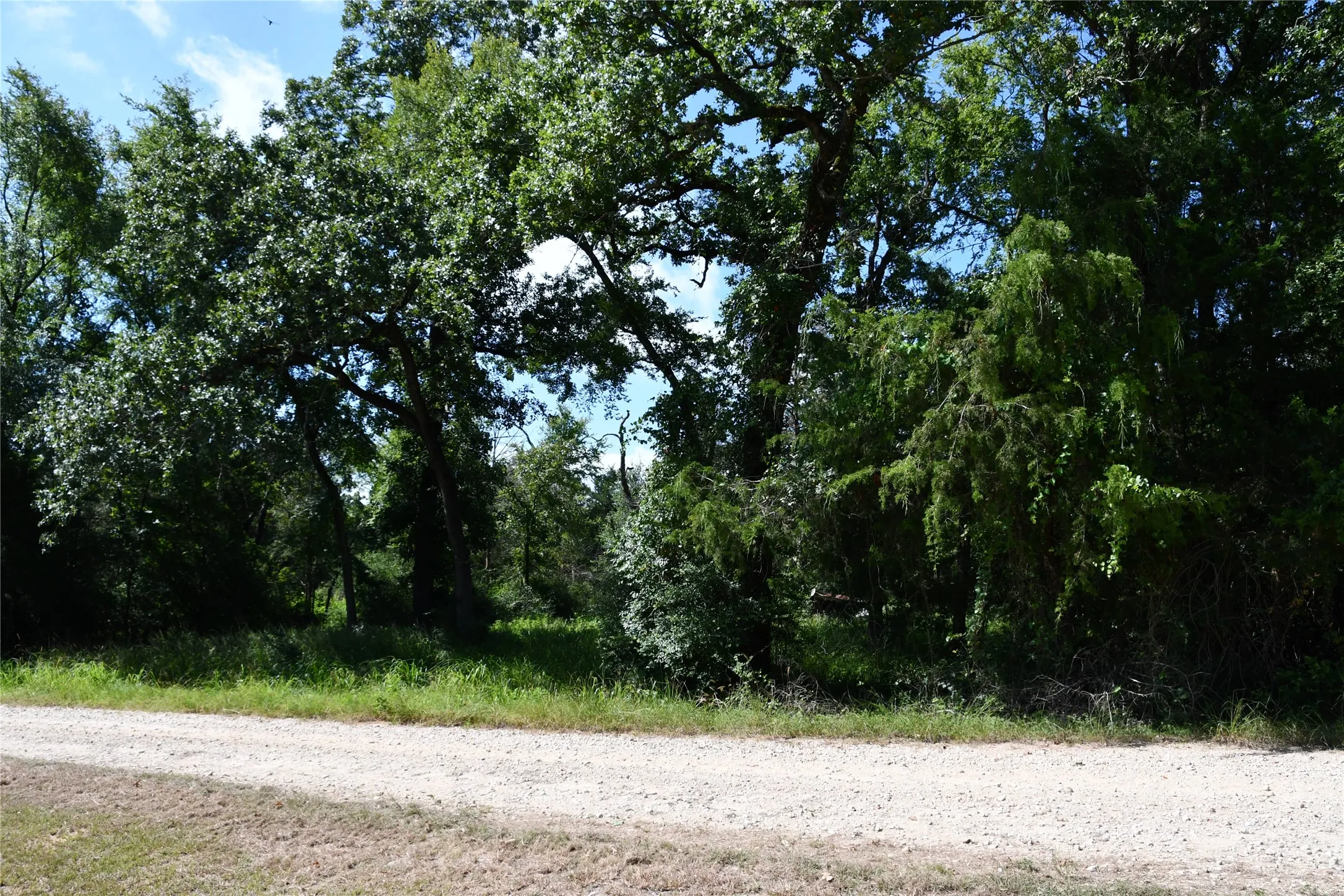 Unimproved Land For Sale in Limestone County , 14 LCR 895, Jewett, Texas 75846, 0, 0, Garage spaces, 0 Sqft, built in 0, Price $22,000, mls#21359966, Real Estate Agent in Jewett, Homes For Sale in Limestone county, Homes For Sale in Jewett, Realtor in Jewett Texas, Real Estate Brokerage Independent Realty Texas, Luminita Cordes Realtor