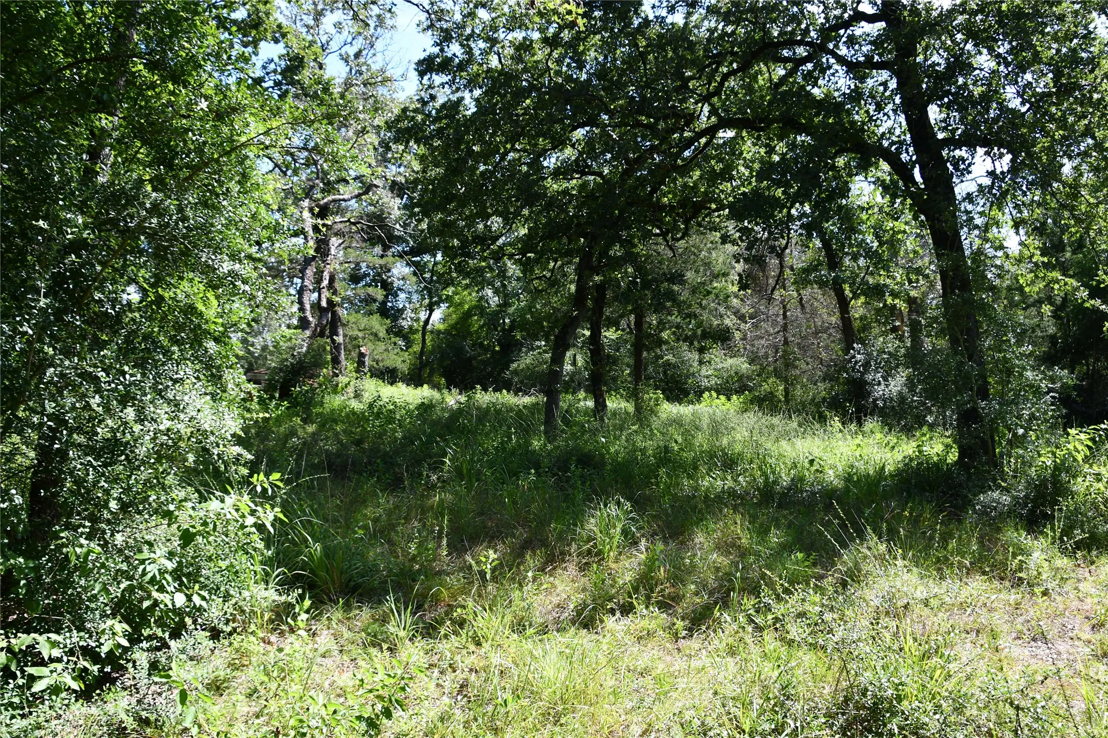 Unimproved Land For Sale in Limestone County , 14 LCR 895, Jewett, Texas 75846, 0, 0, Garage spaces, 0 Sqft, built in 0, Price $22,000, mls#21359966, Real Estate Agent in Jewett, Homes For Sale in Limestone county, Homes For Sale in Jewett, Realtor in Jewett Texas, Real Estate Brokerage Independent Realty Texas, Luminita Cordes Realtor